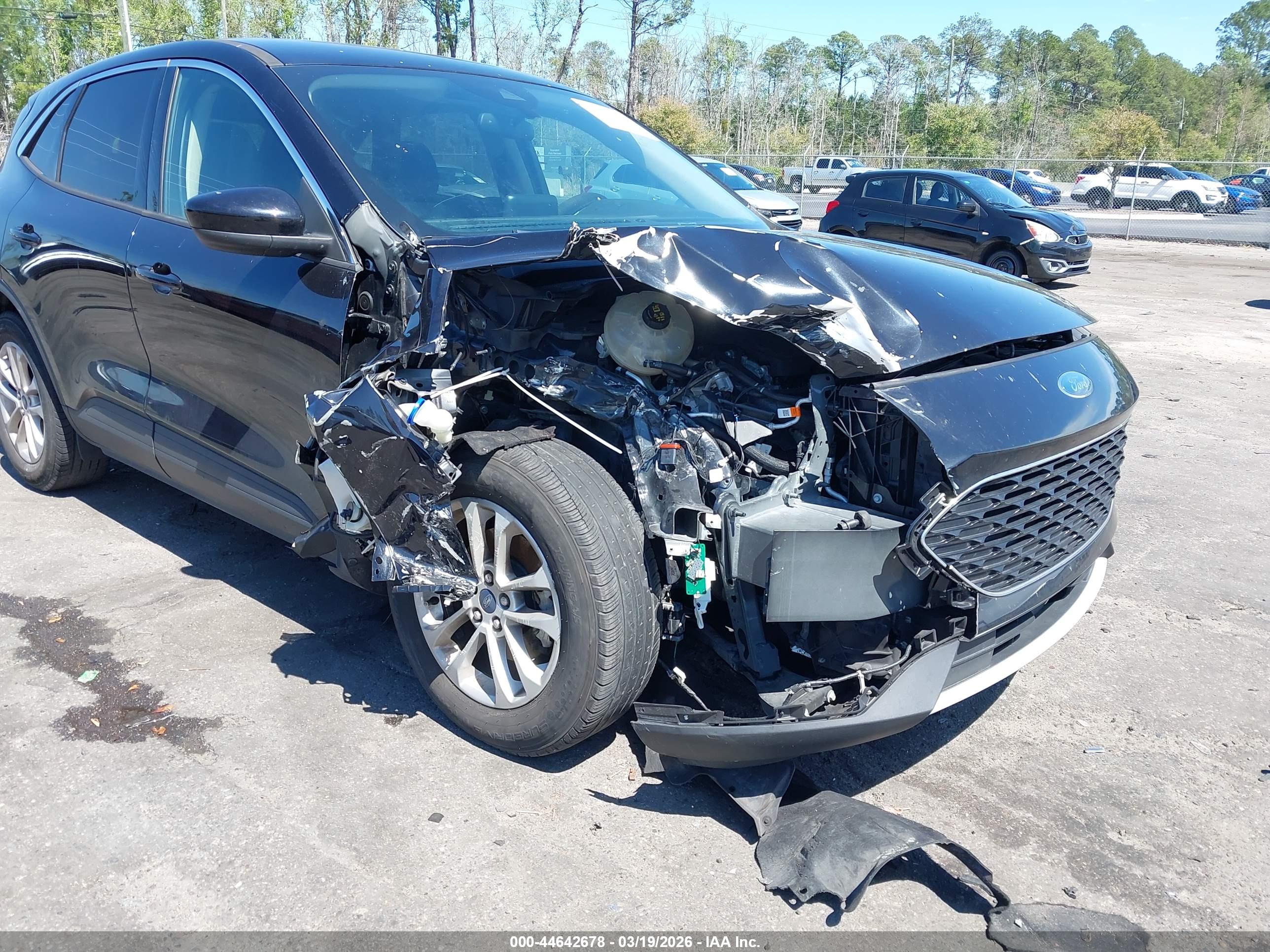 FORD ESCAPE image 6
