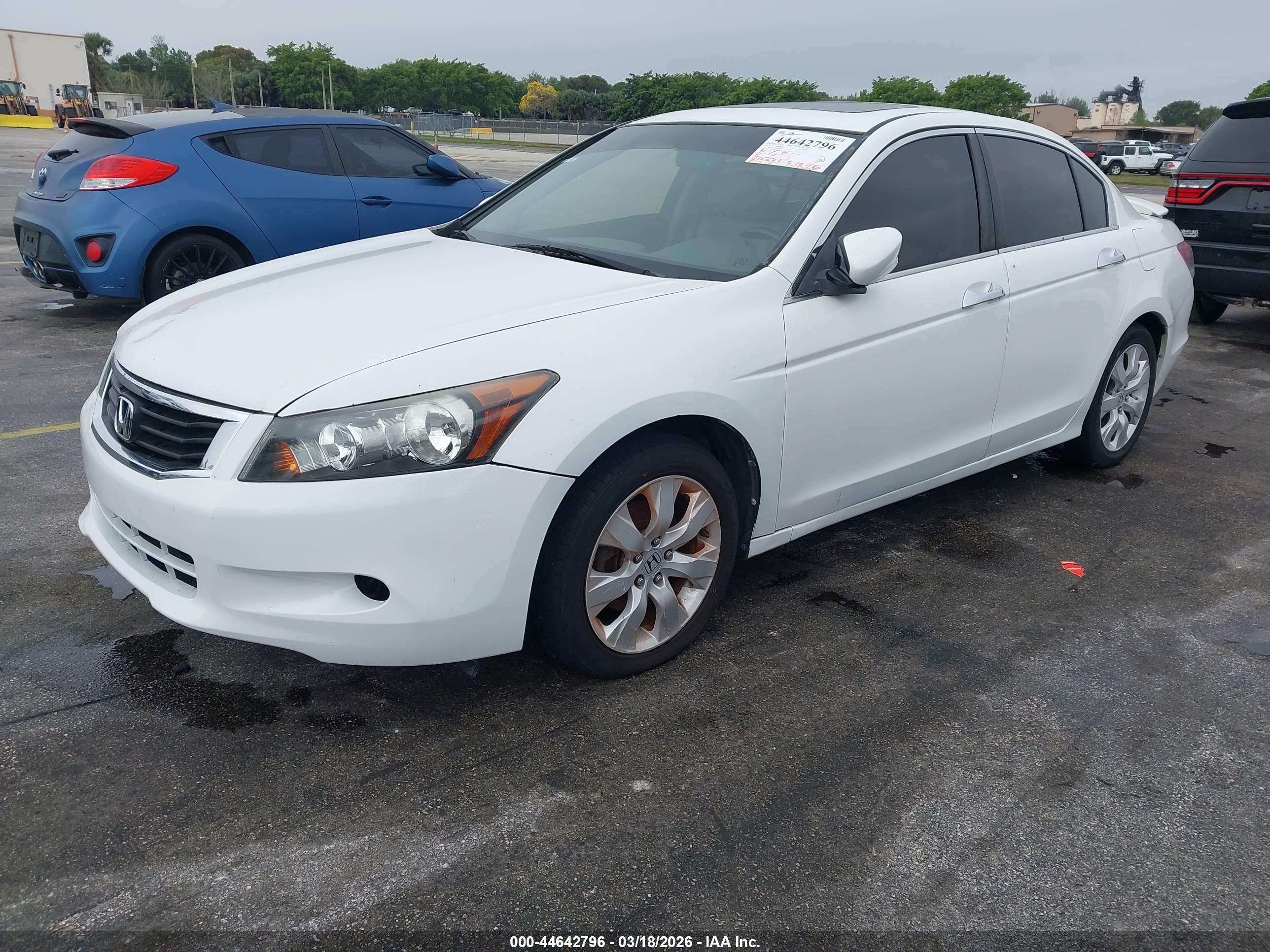 HONDA ACCORD image 2