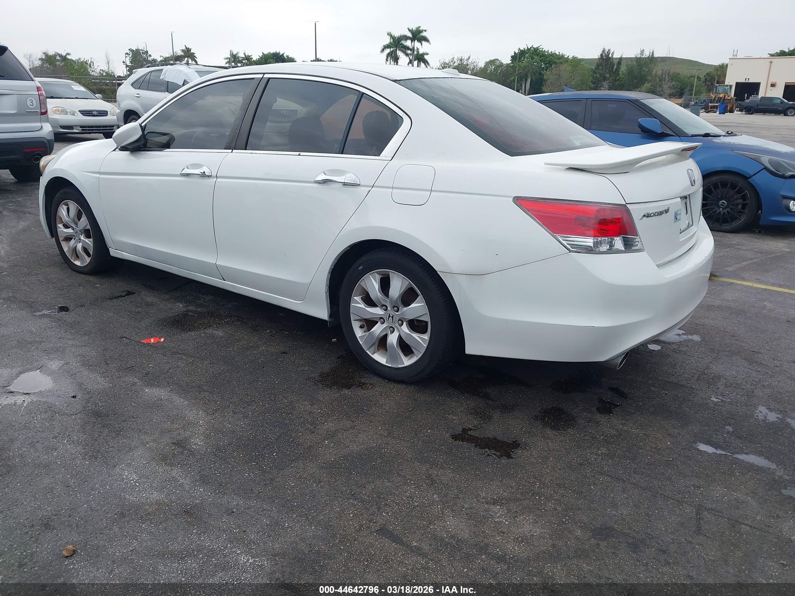 HONDA ACCORD image 3