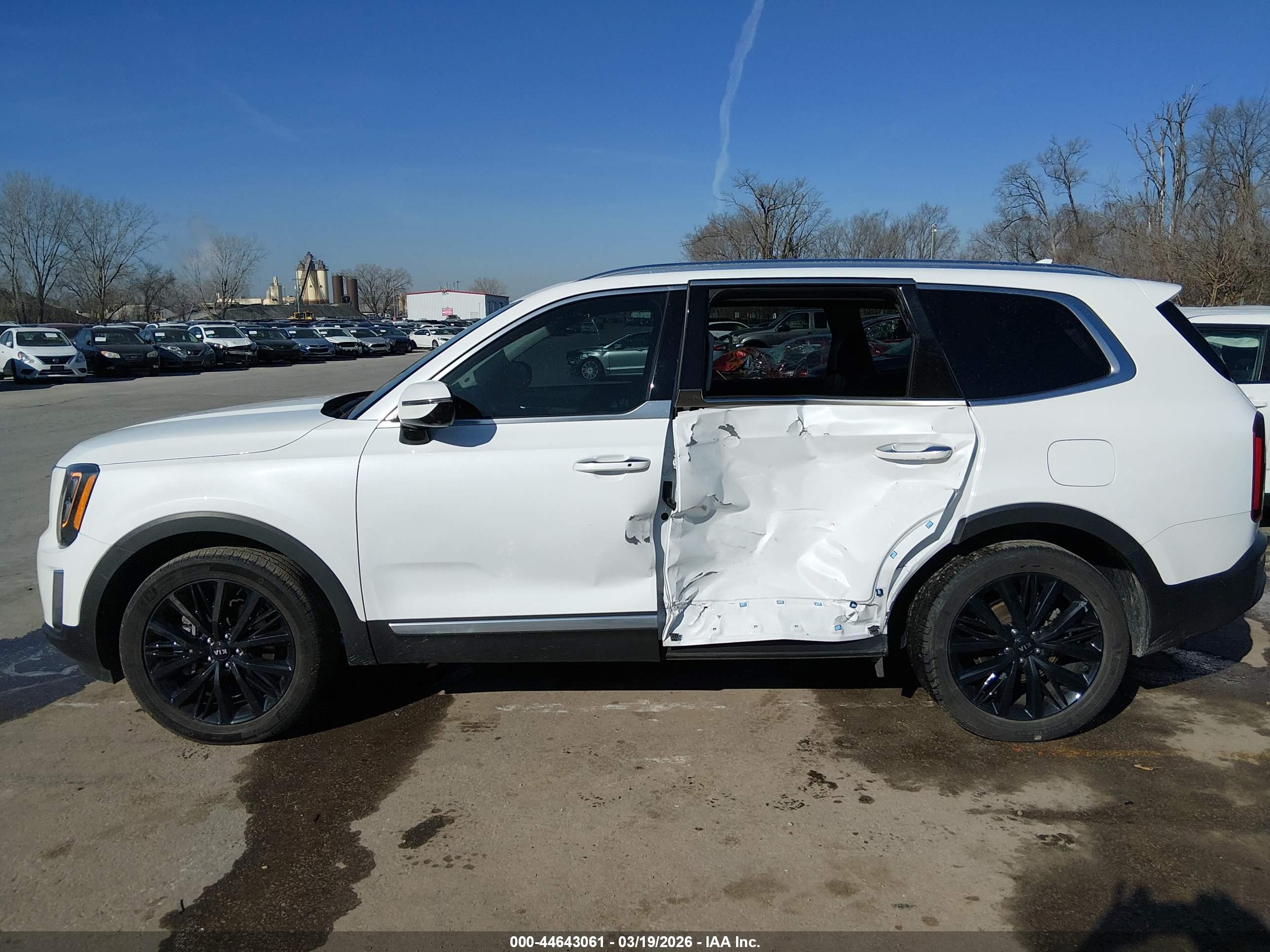 KIA TELLURIDE image 6
