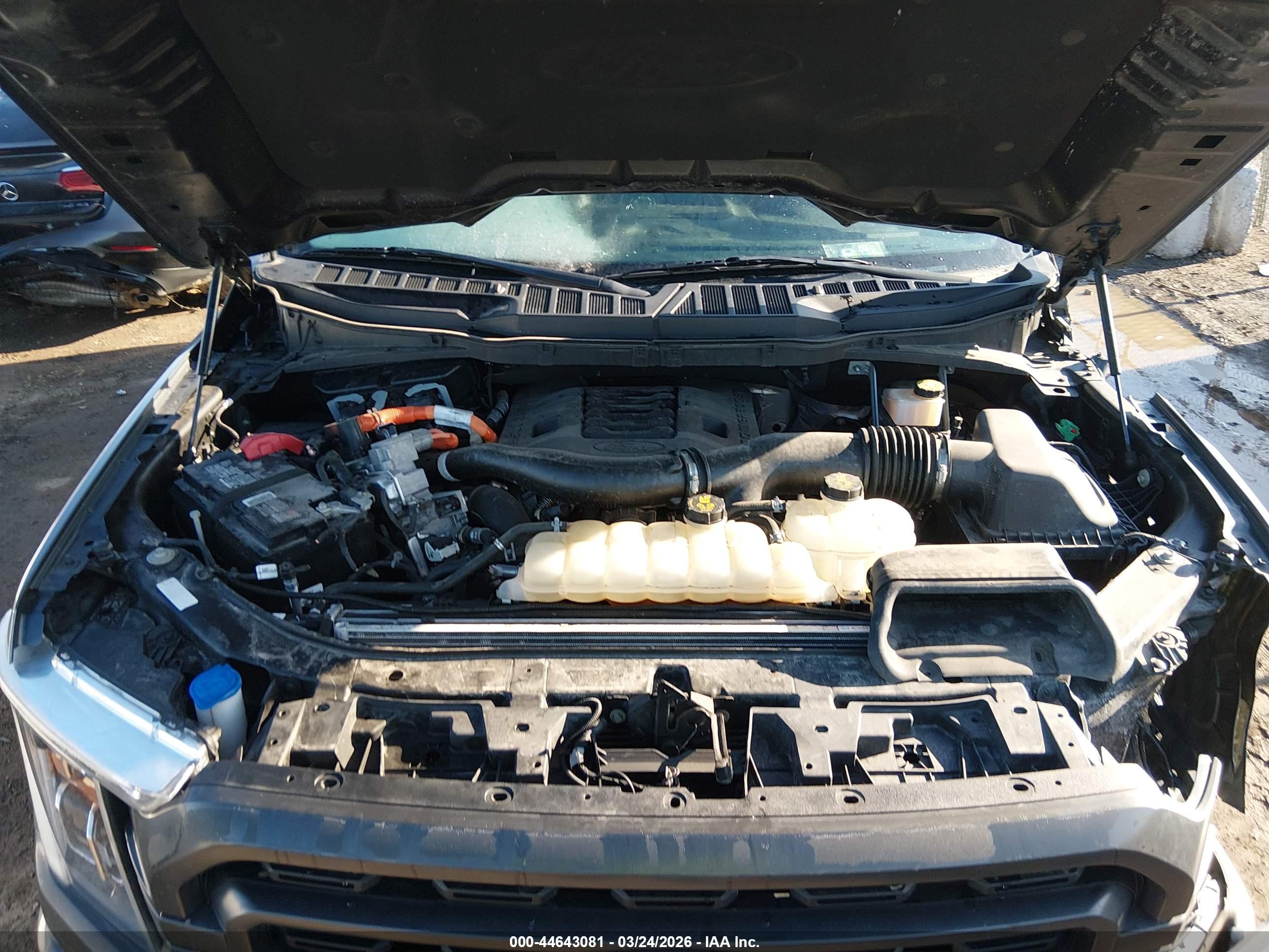 FORD F-150 image 10