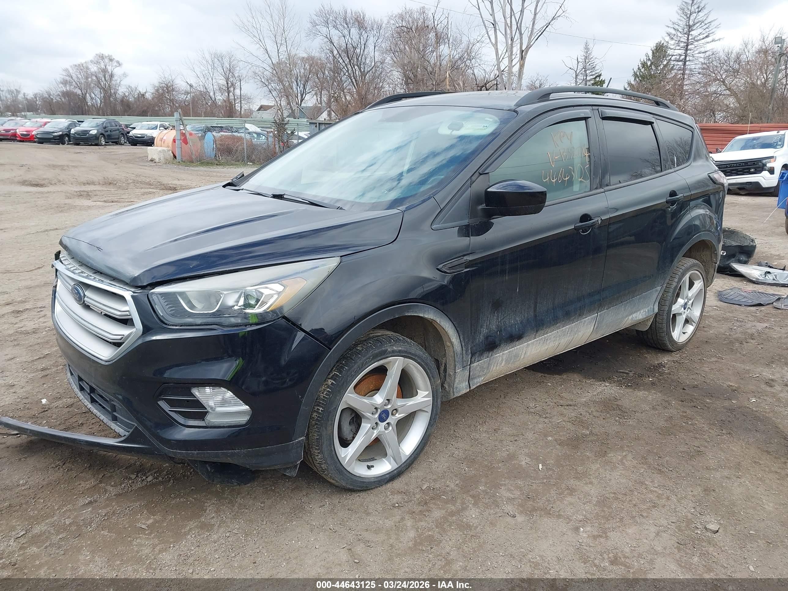 FORD ESCAPE image 2