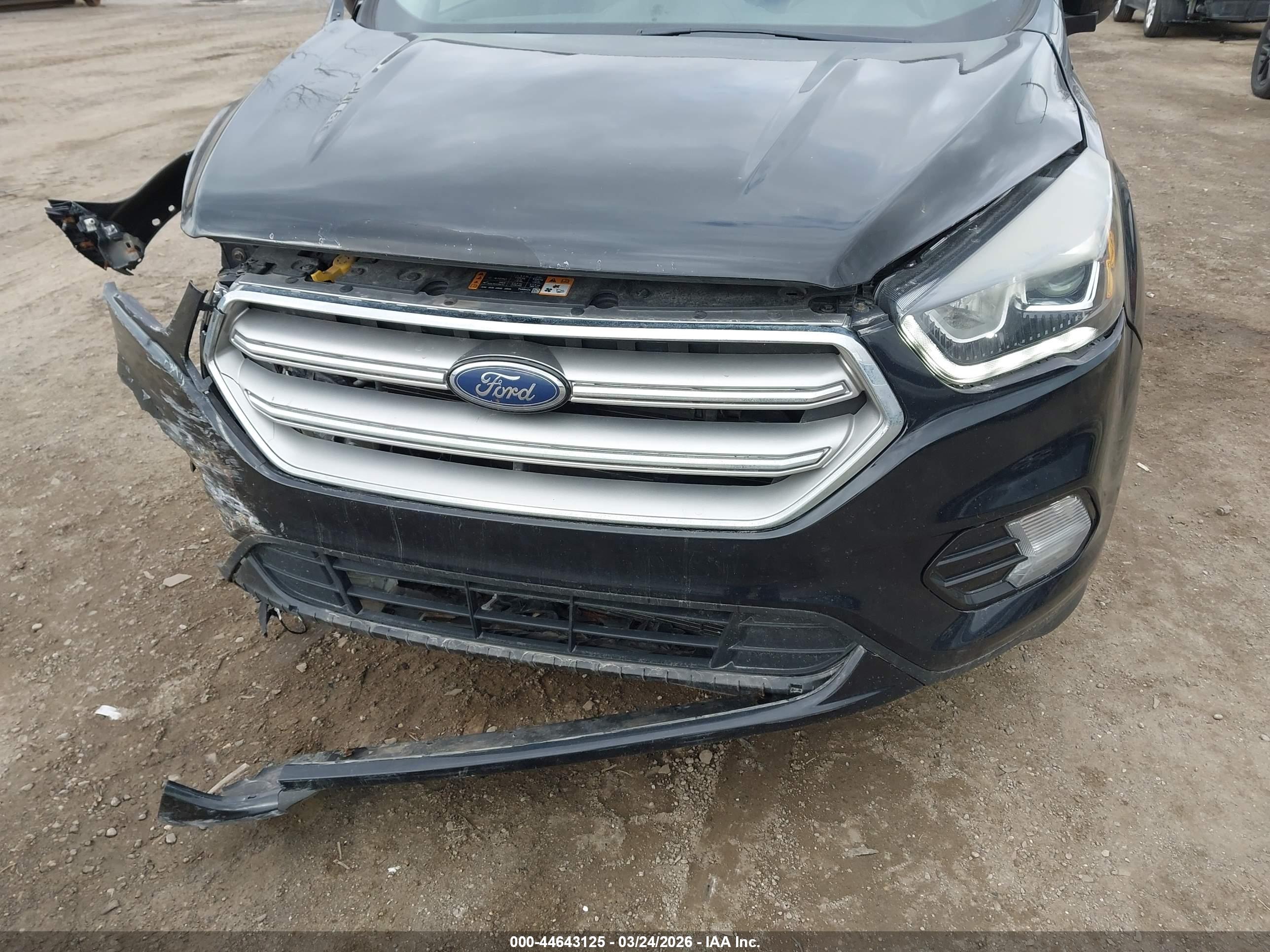FORD ESCAPE image 6