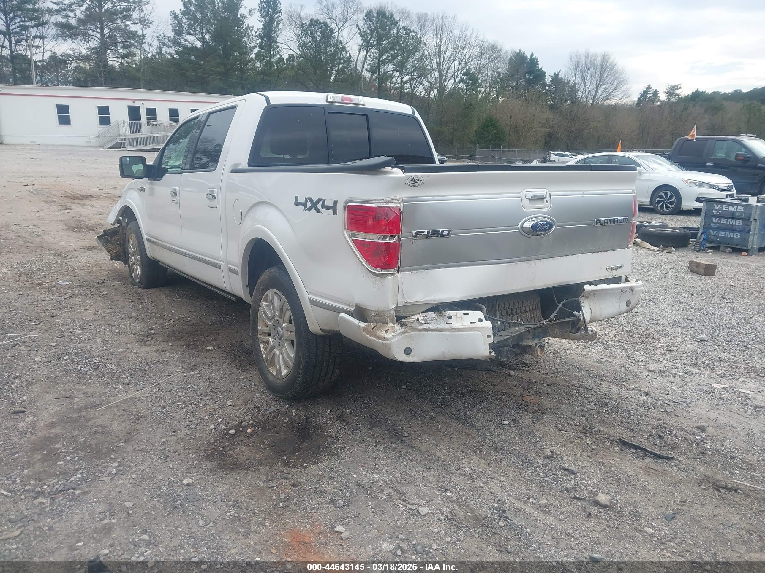 FORD F-150 image 3