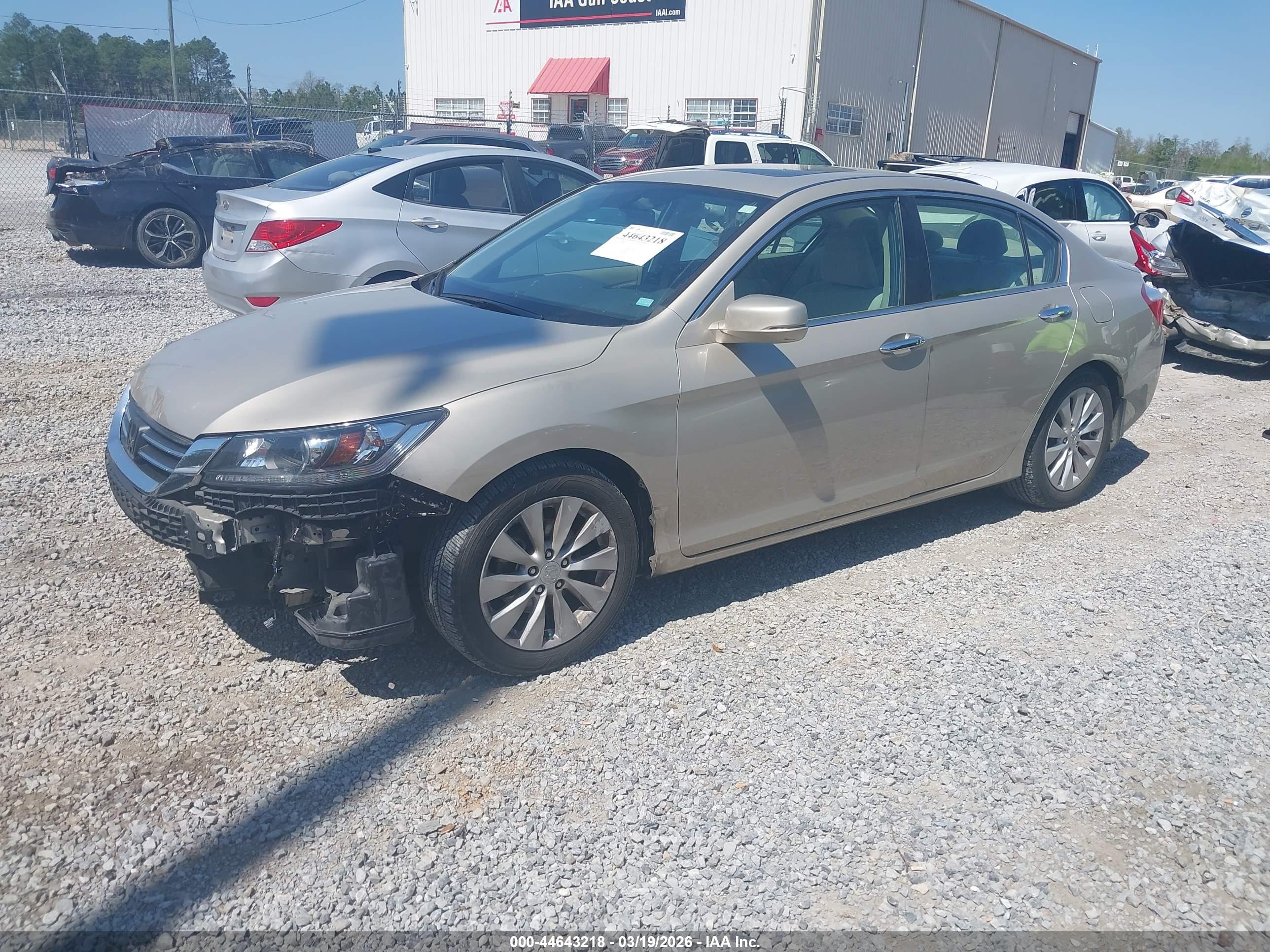 HONDA ACCORD image 2