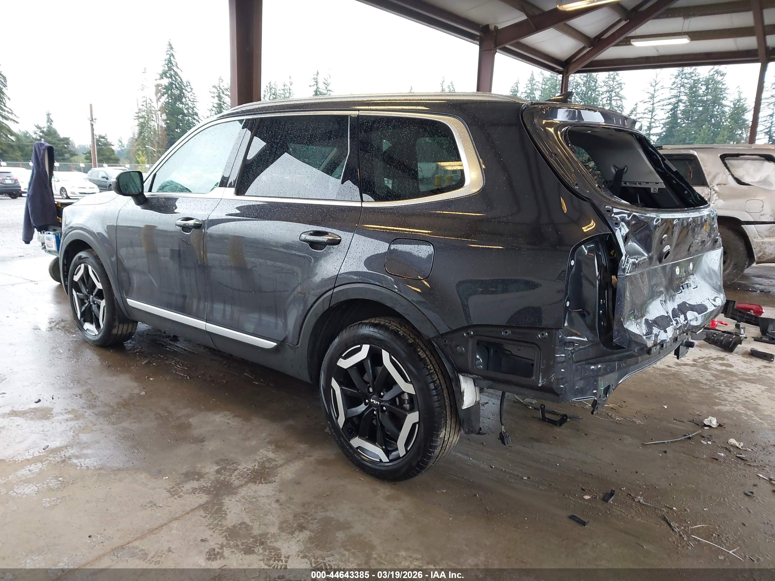 KIA TELLURIDE image 3