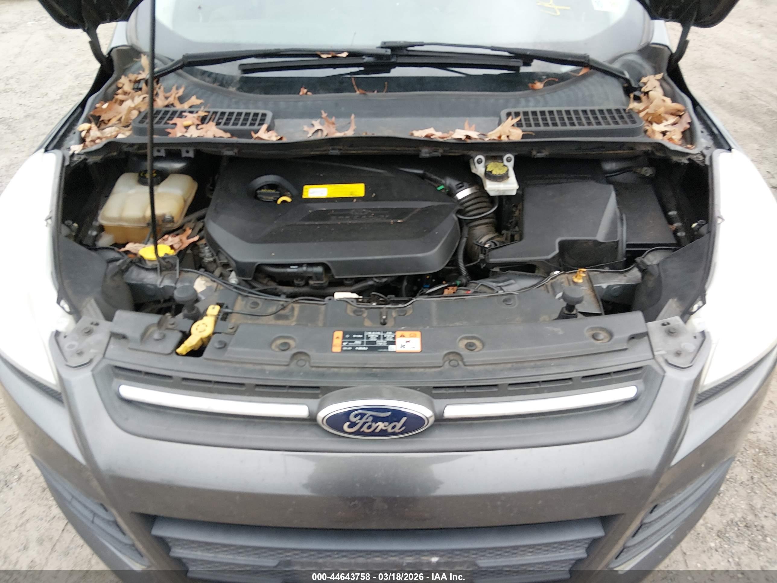 FORD ESCAPE image 10