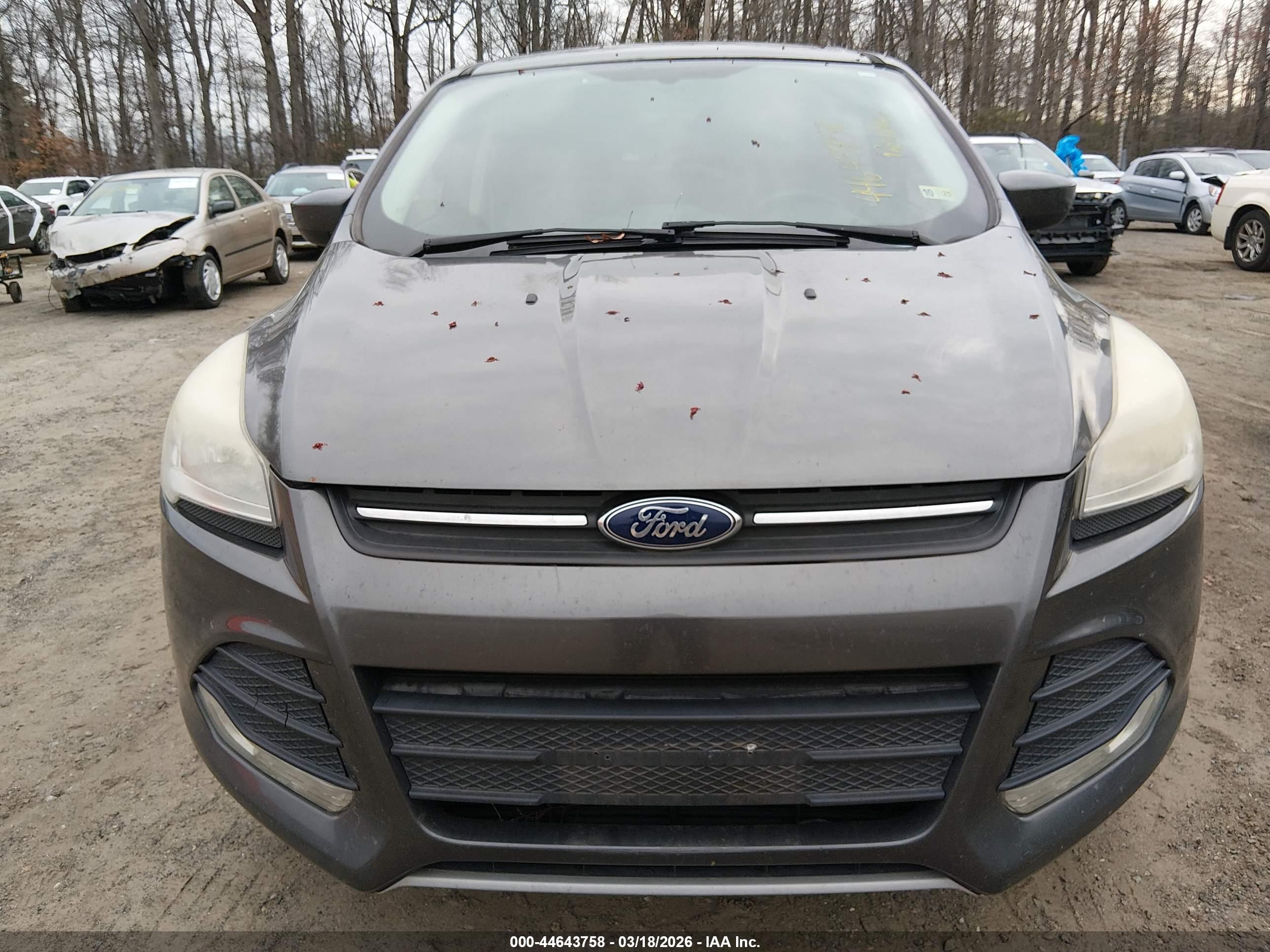 FORD ESCAPE image 6
