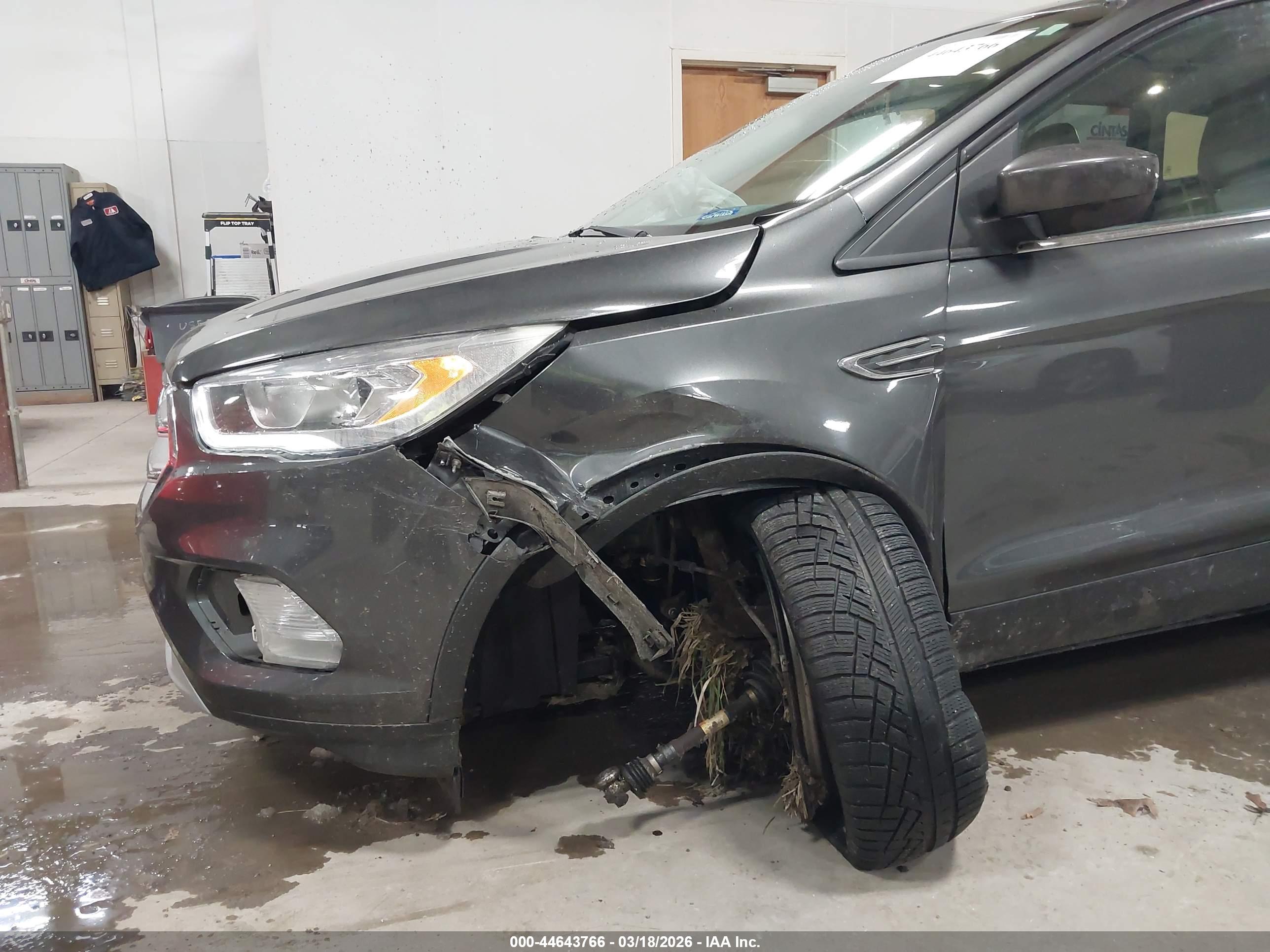 FORD ESCAPE image 6