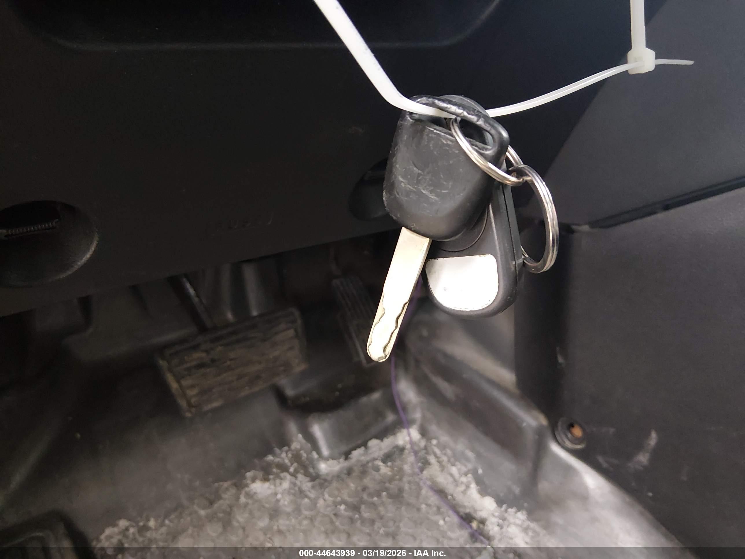 HONDA ELEMENT image 11