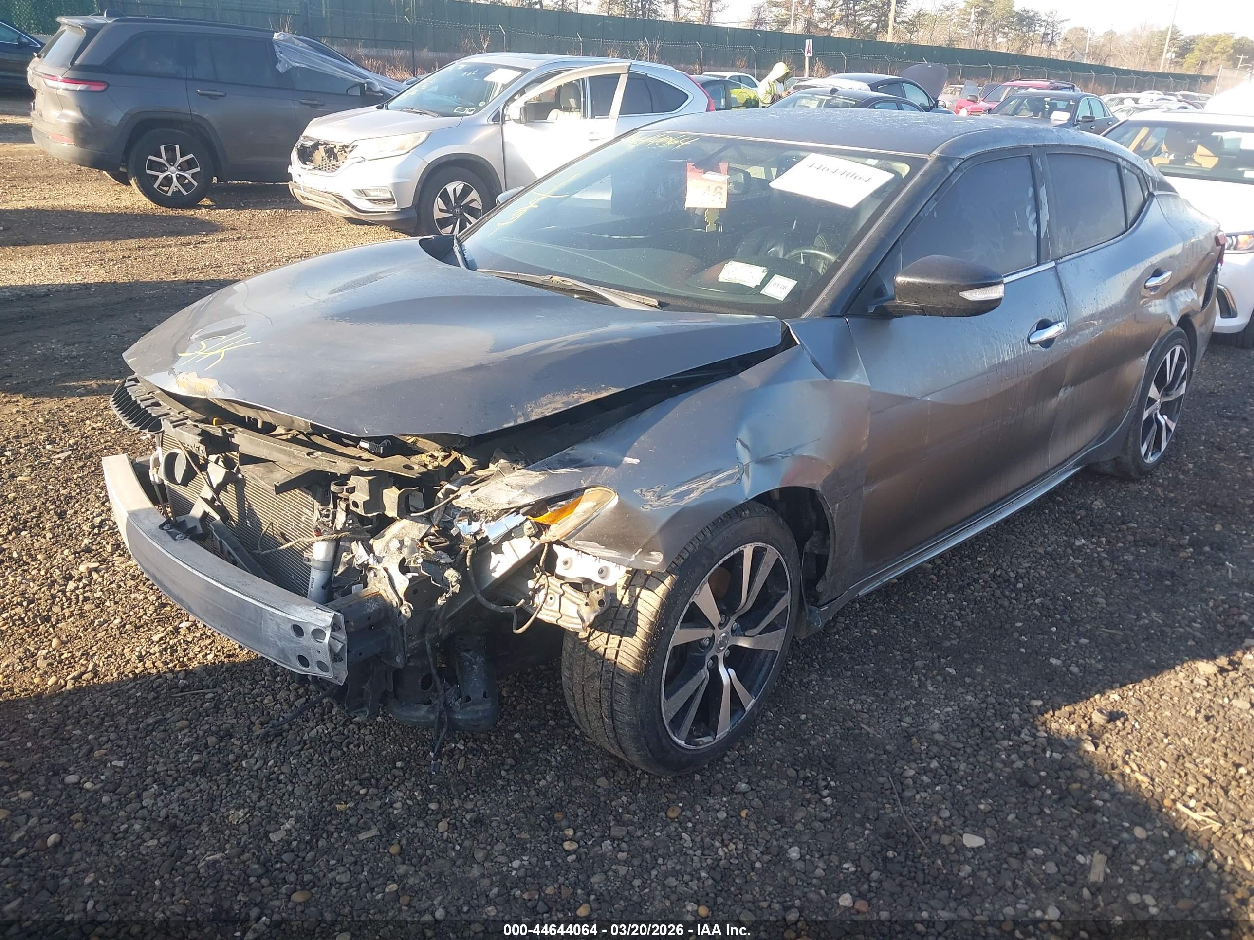 NISSAN MAXIMA image 2