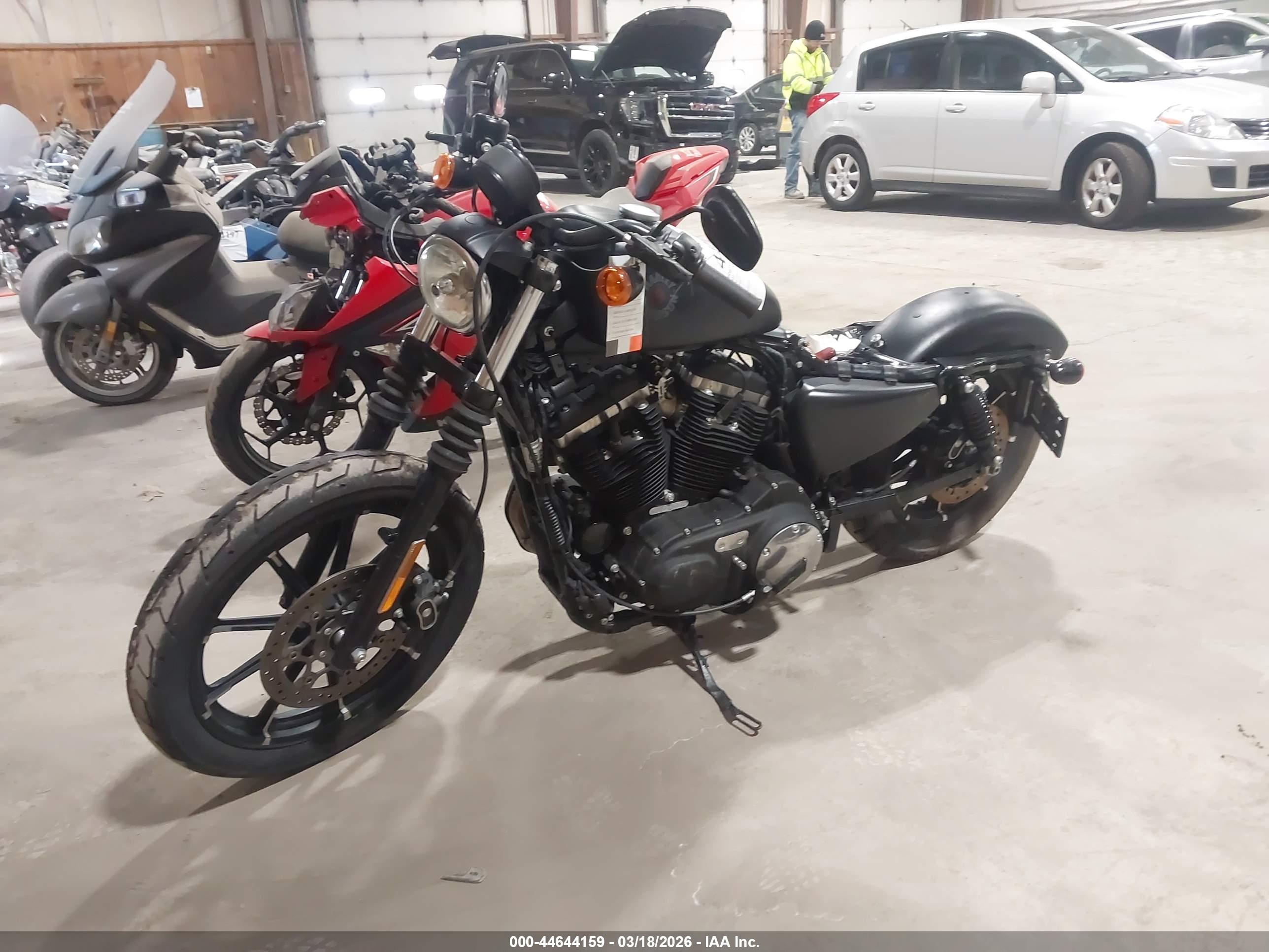 HARLEY-DAVIDSON XL883 image 2