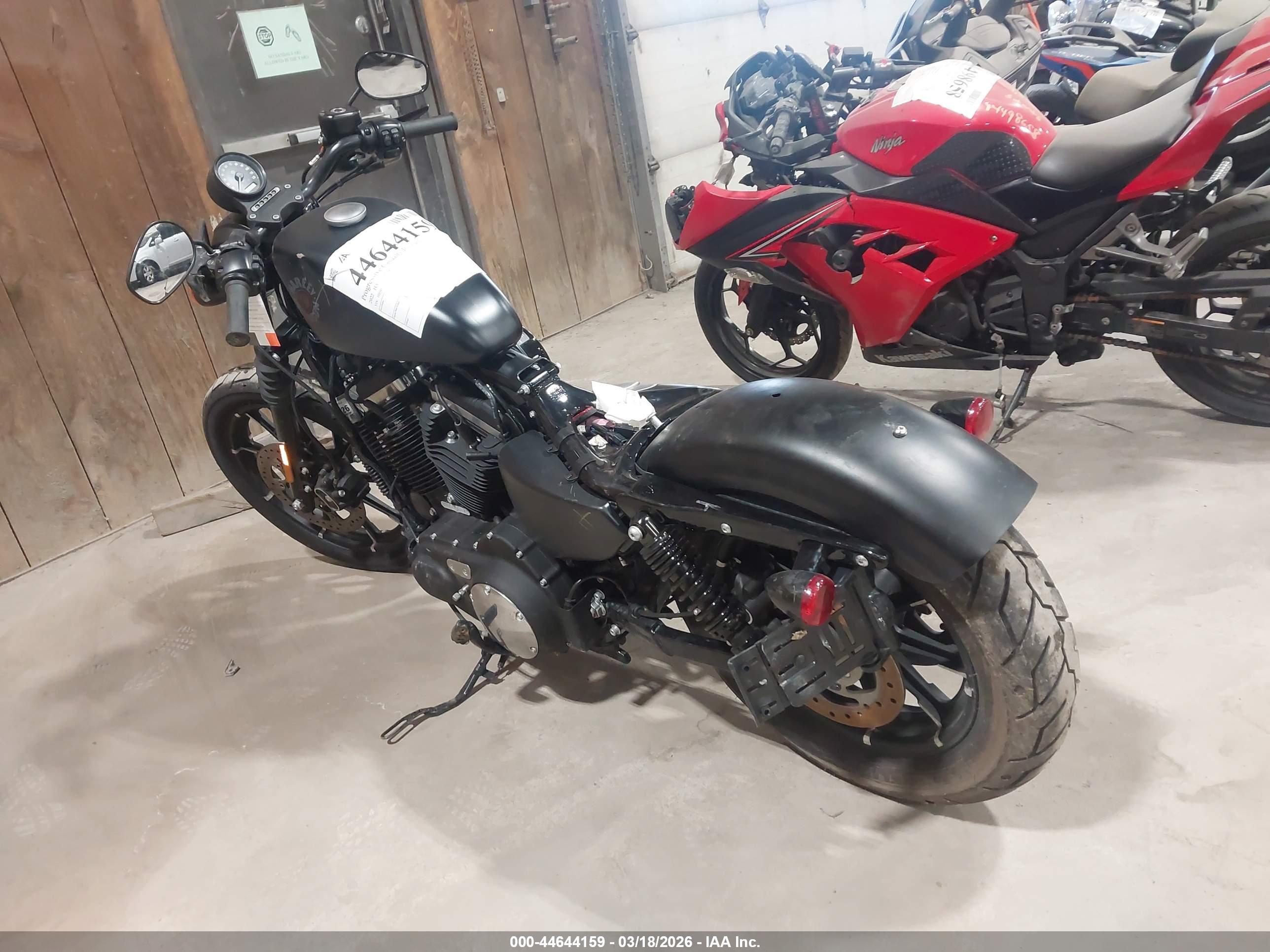 HARLEY-DAVIDSON XL883 image 3