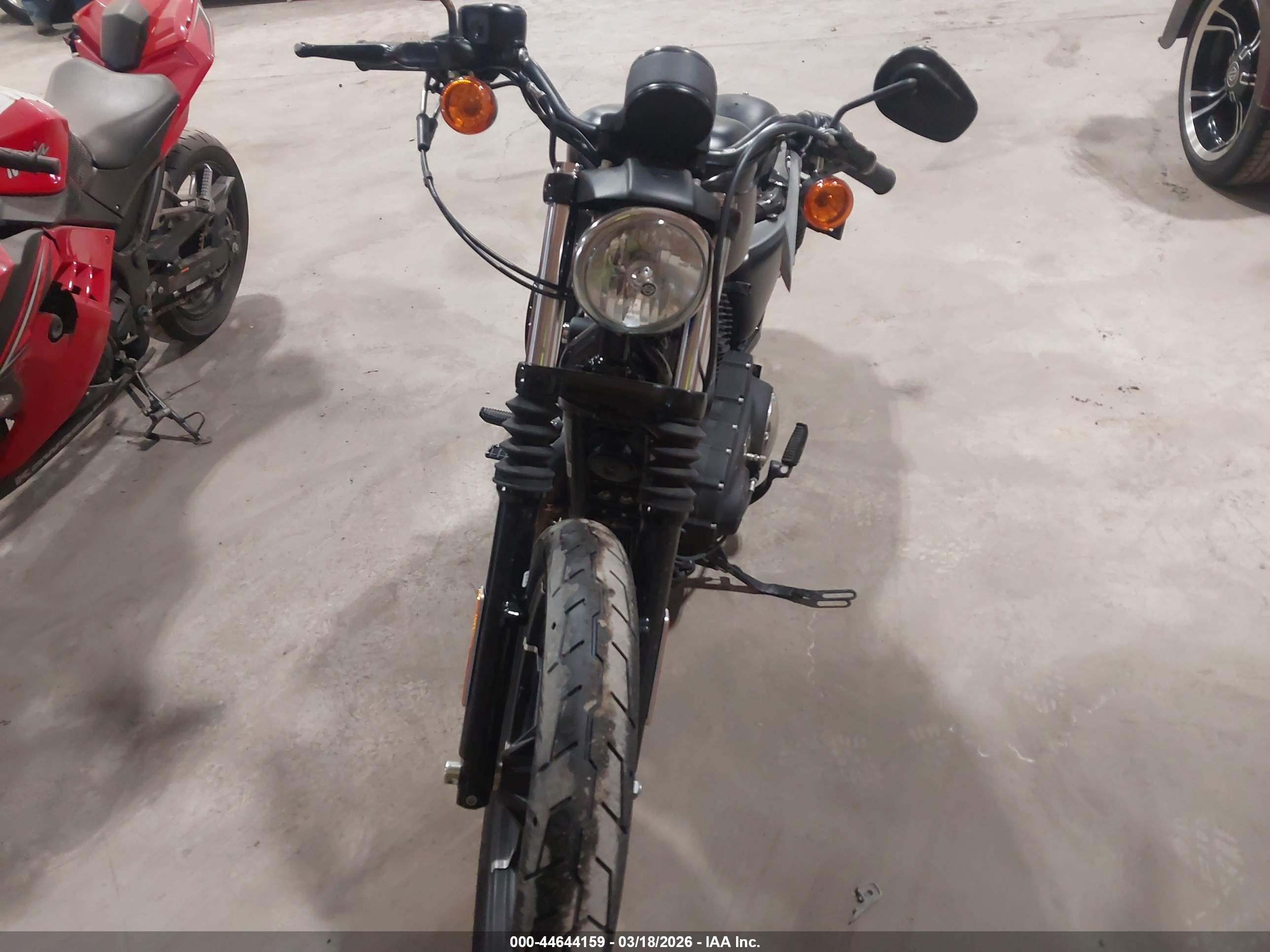HARLEY-DAVIDSON XL883 image 5