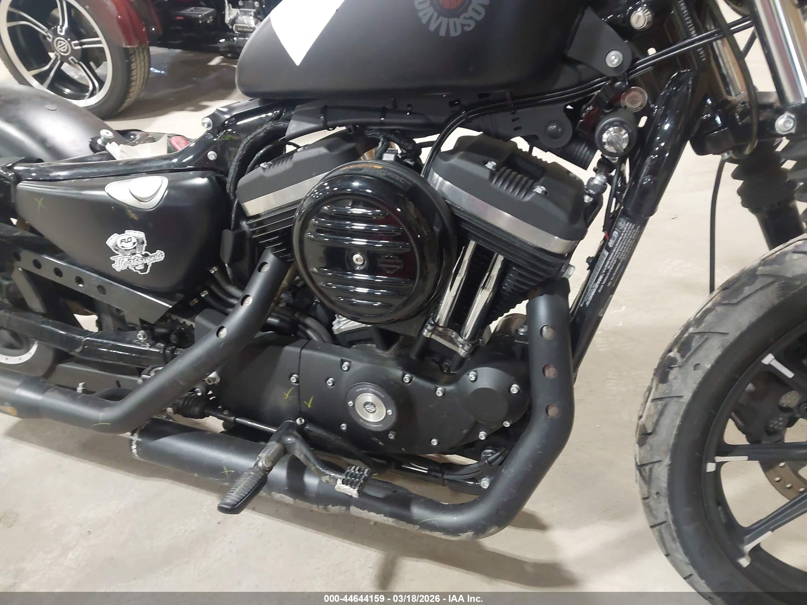 HARLEY-DAVIDSON XL883 image 8