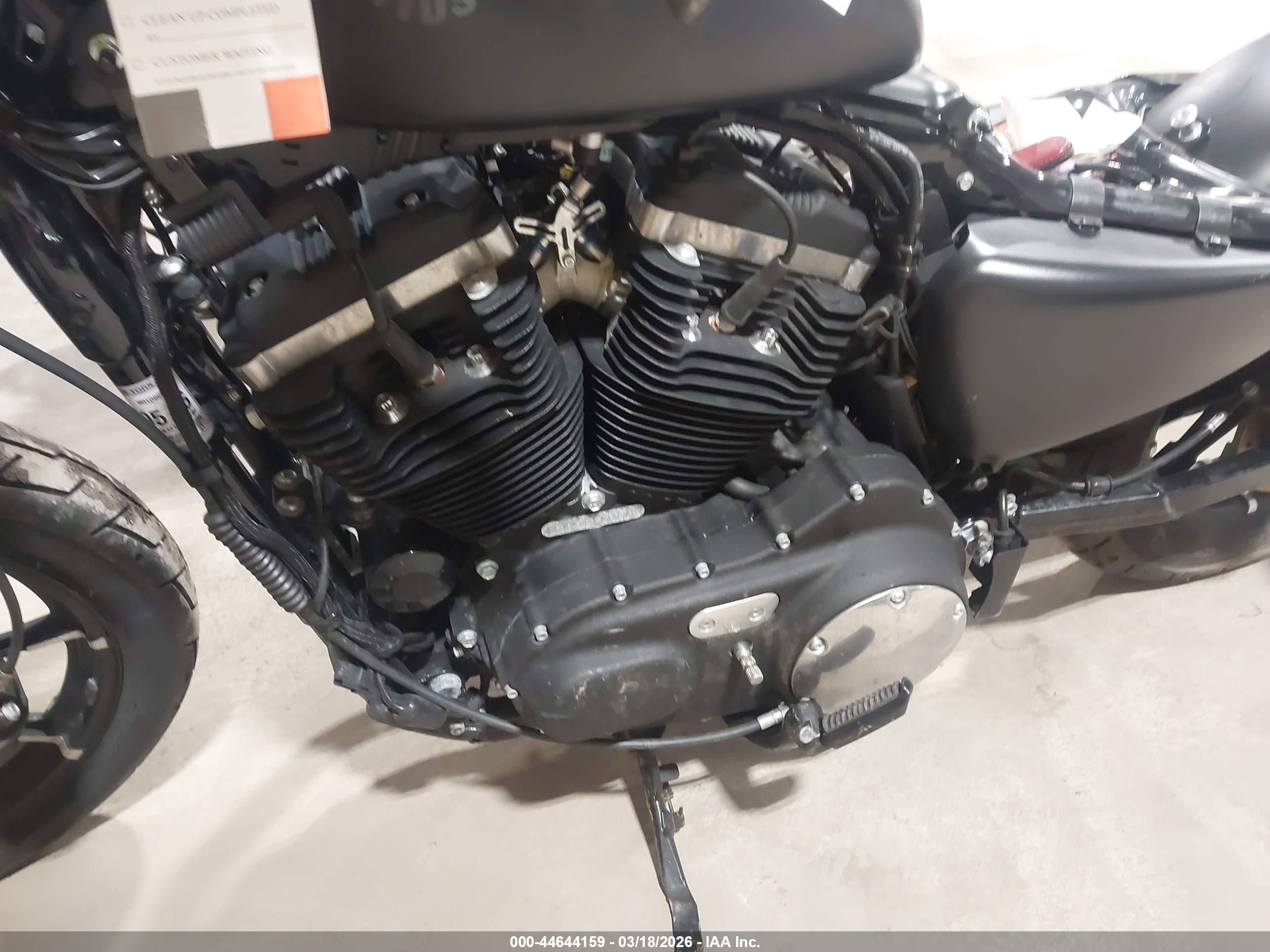 HARLEY-DAVIDSON XL883 image 9