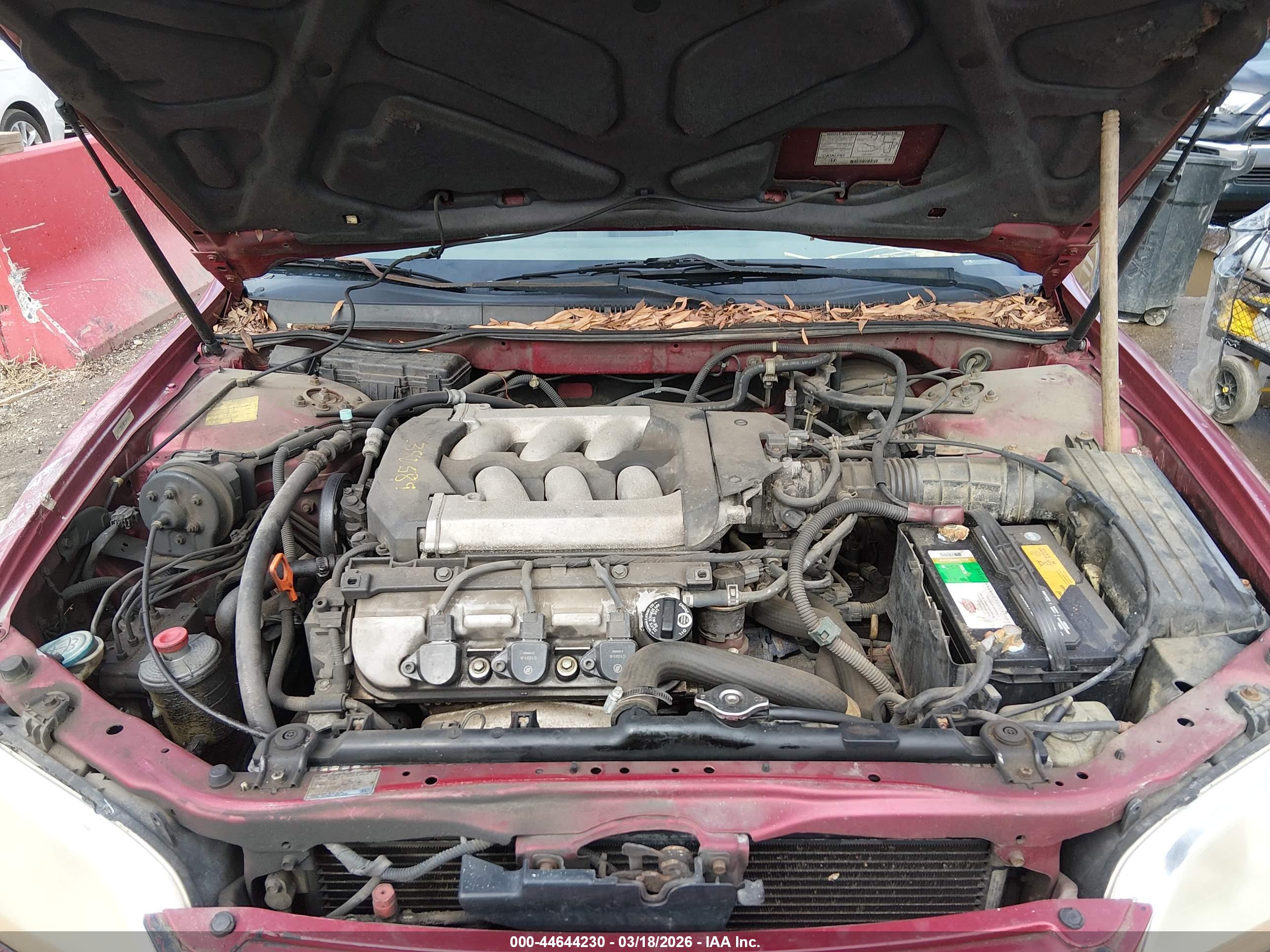 HONDA ACCORD image 10