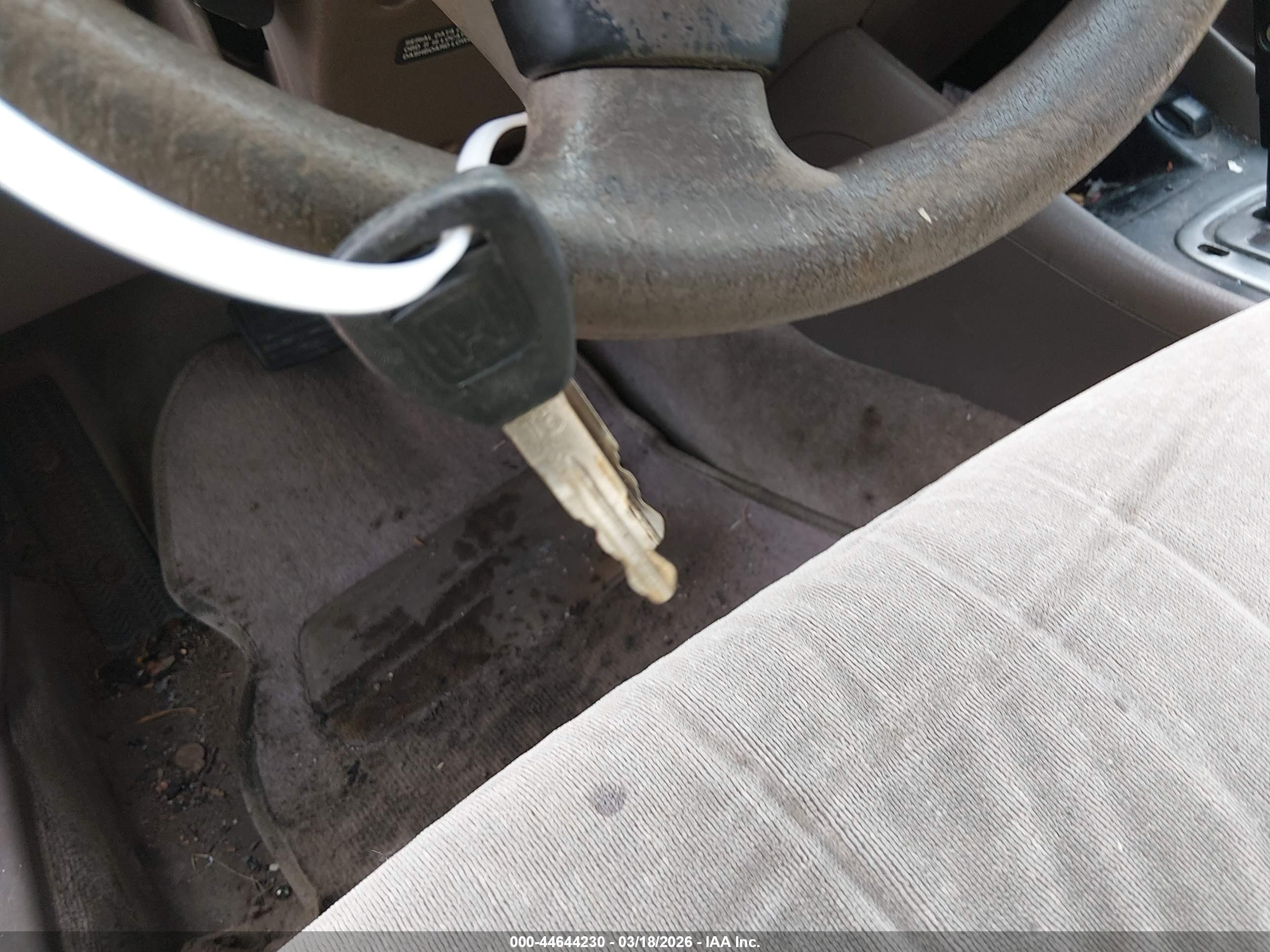 HONDA ACCORD image 11