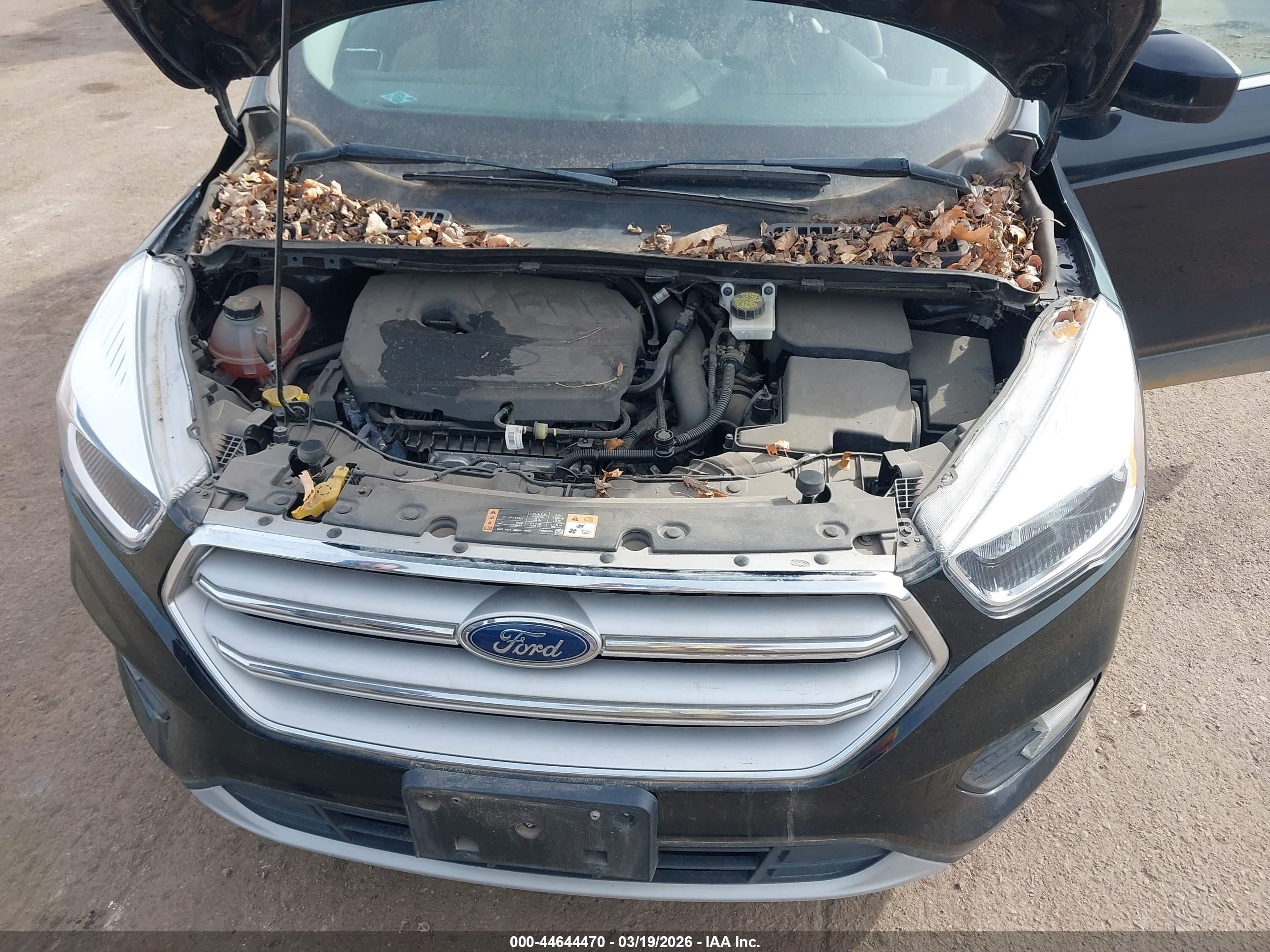 FORD ESCAPE image 10