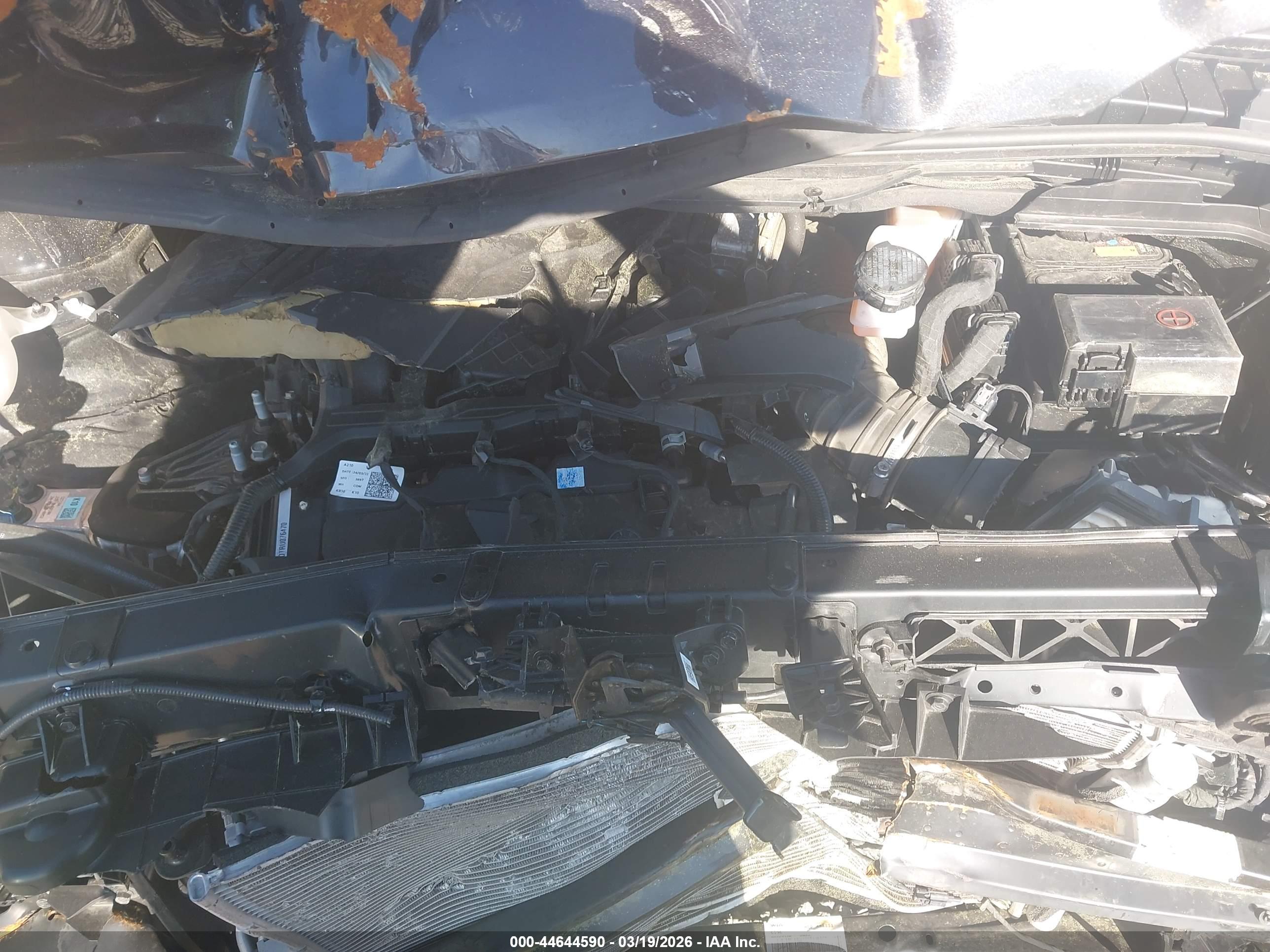 KIA CARNIVAL image 10