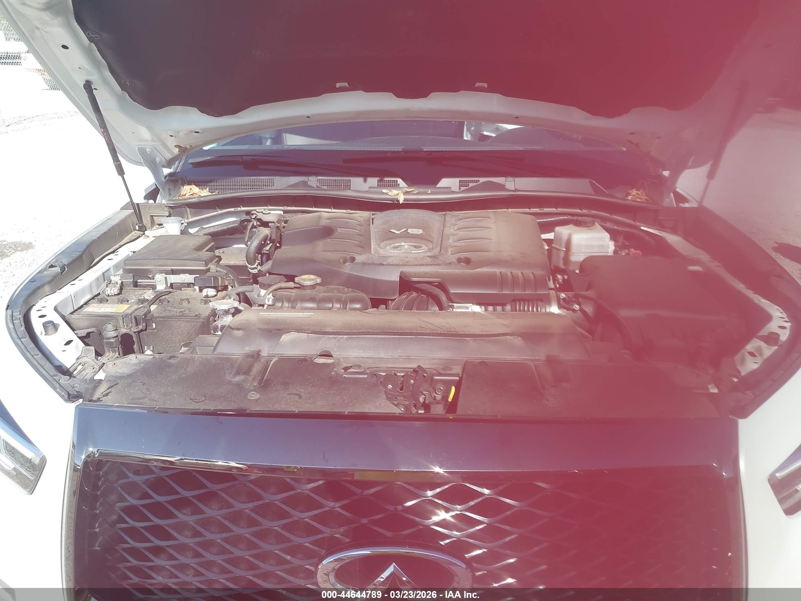 INFINITI QX80 image 10