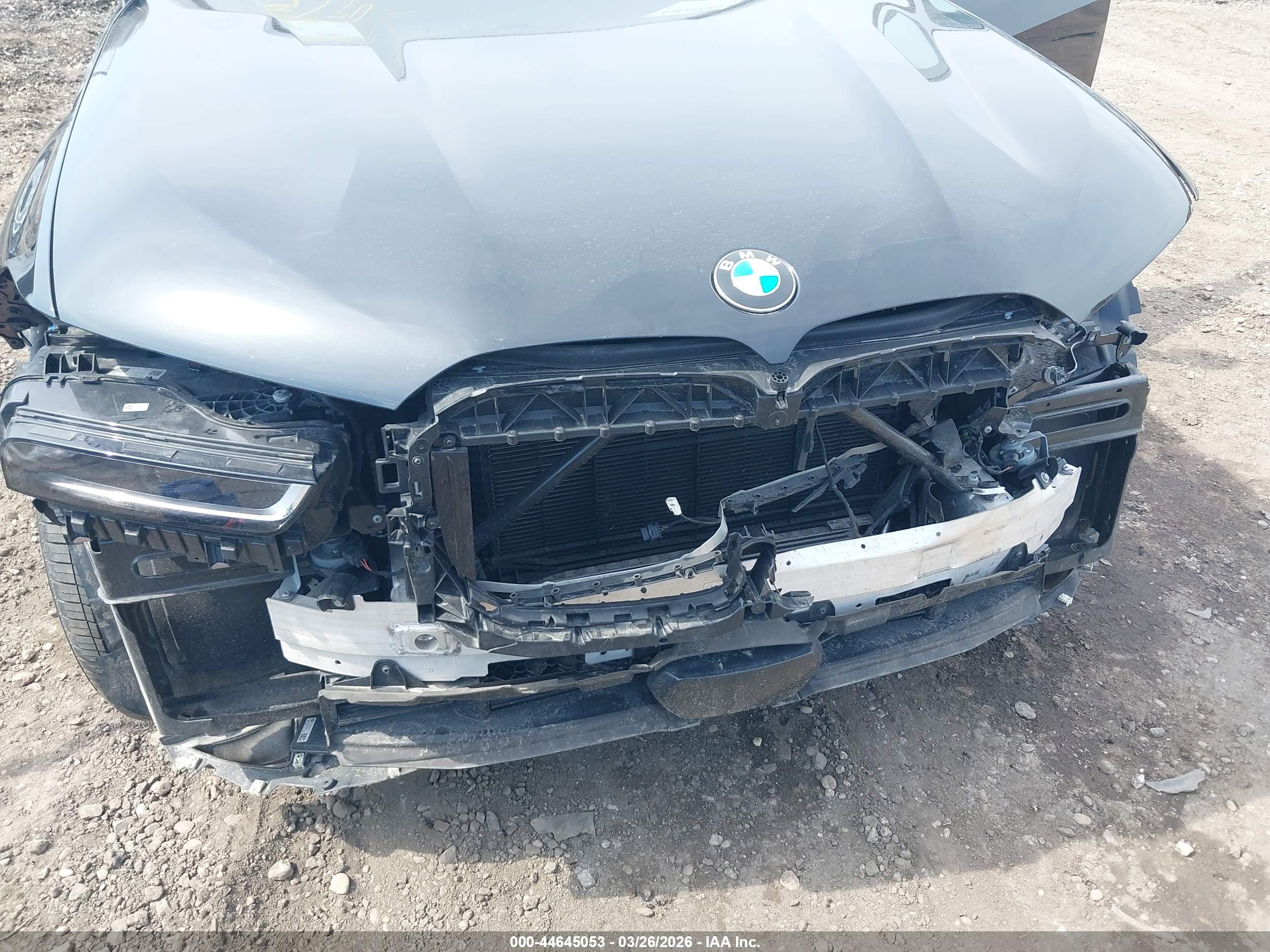 BMW X7 image 6
