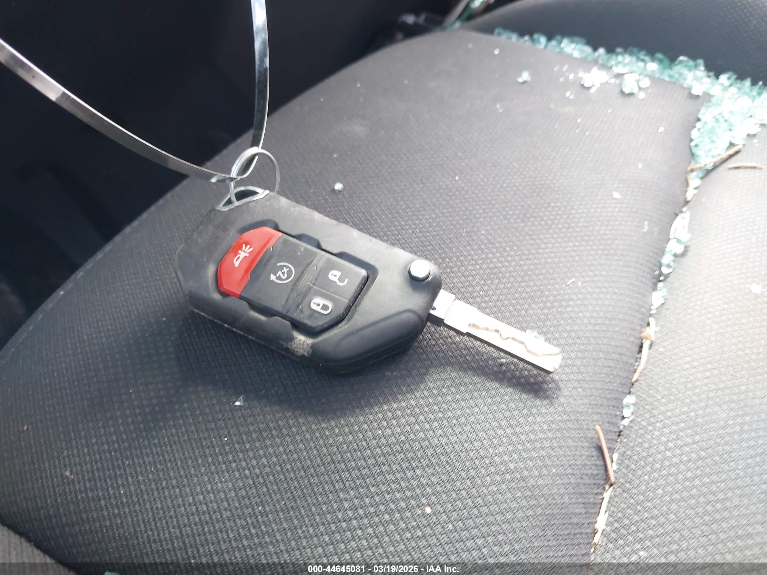 JEEP WRANGLER image 11