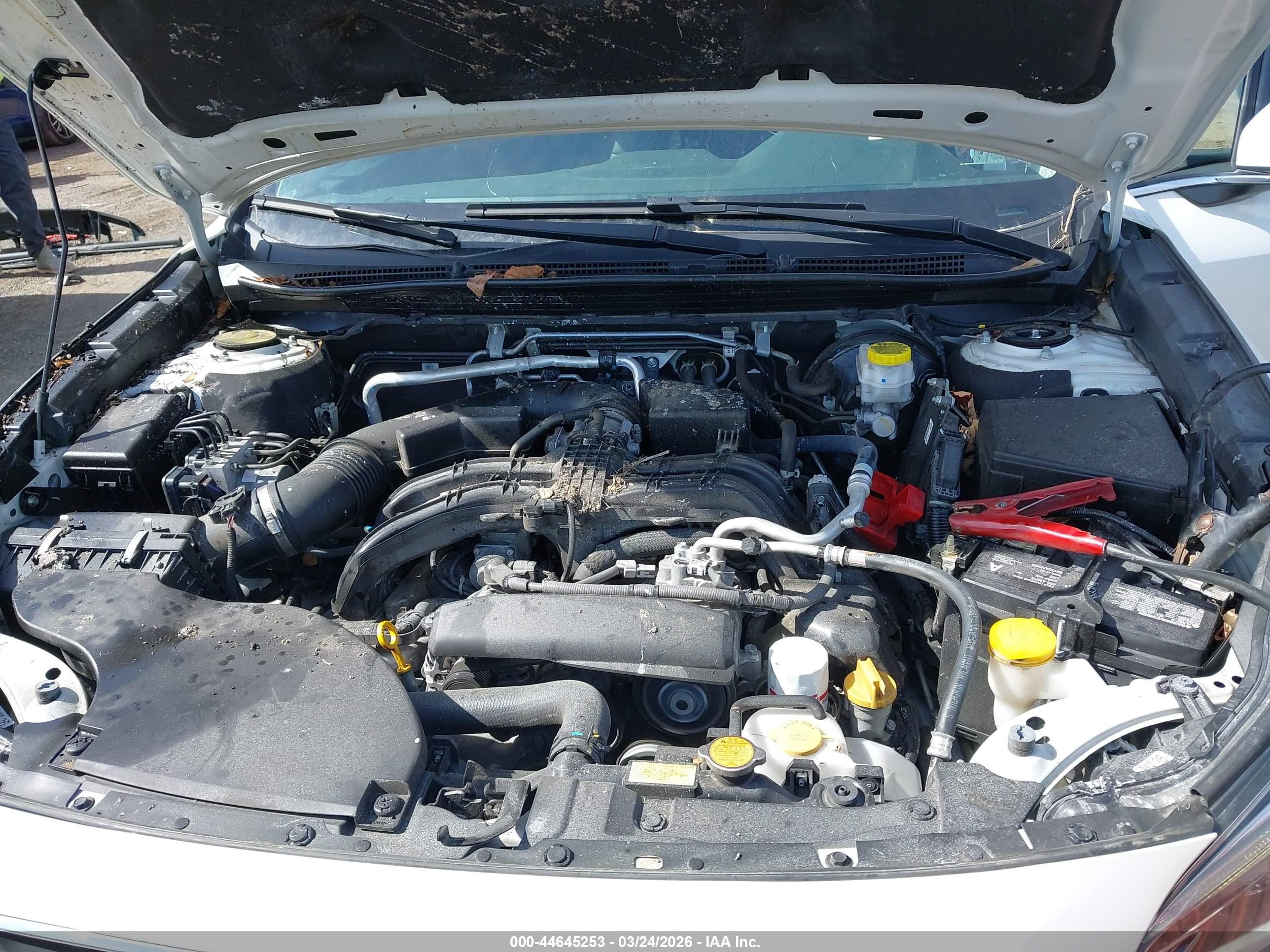 SUBARU OUTBACK image 10