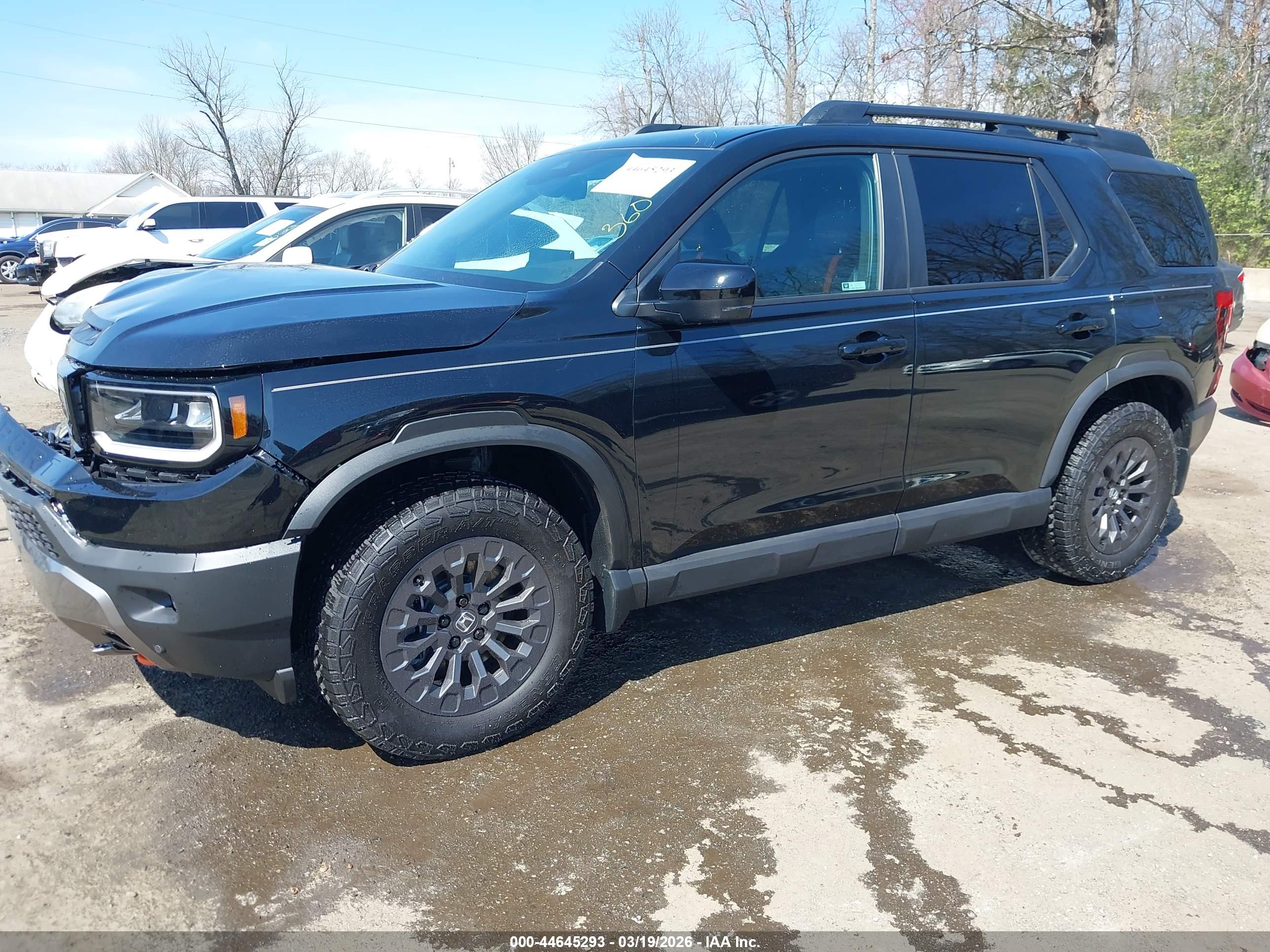 HONDA PASSPORT image 2