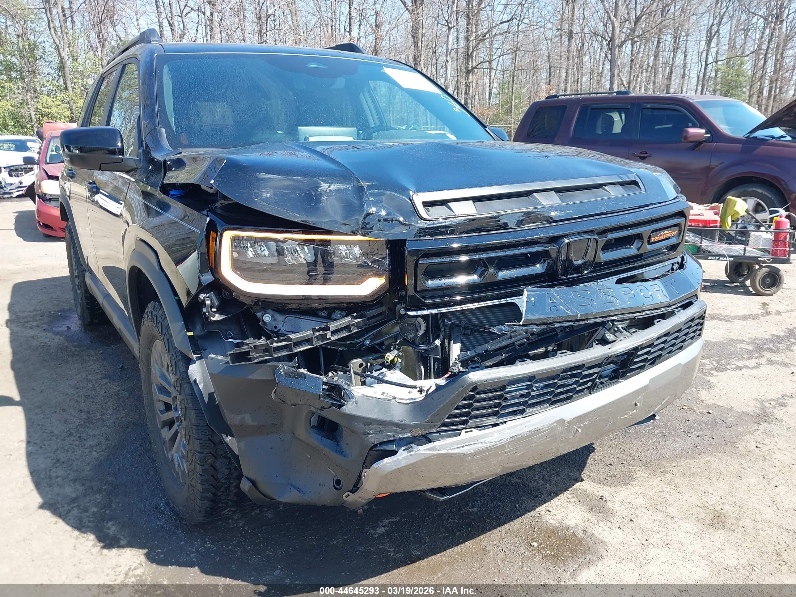 HONDA PASSPORT image 6