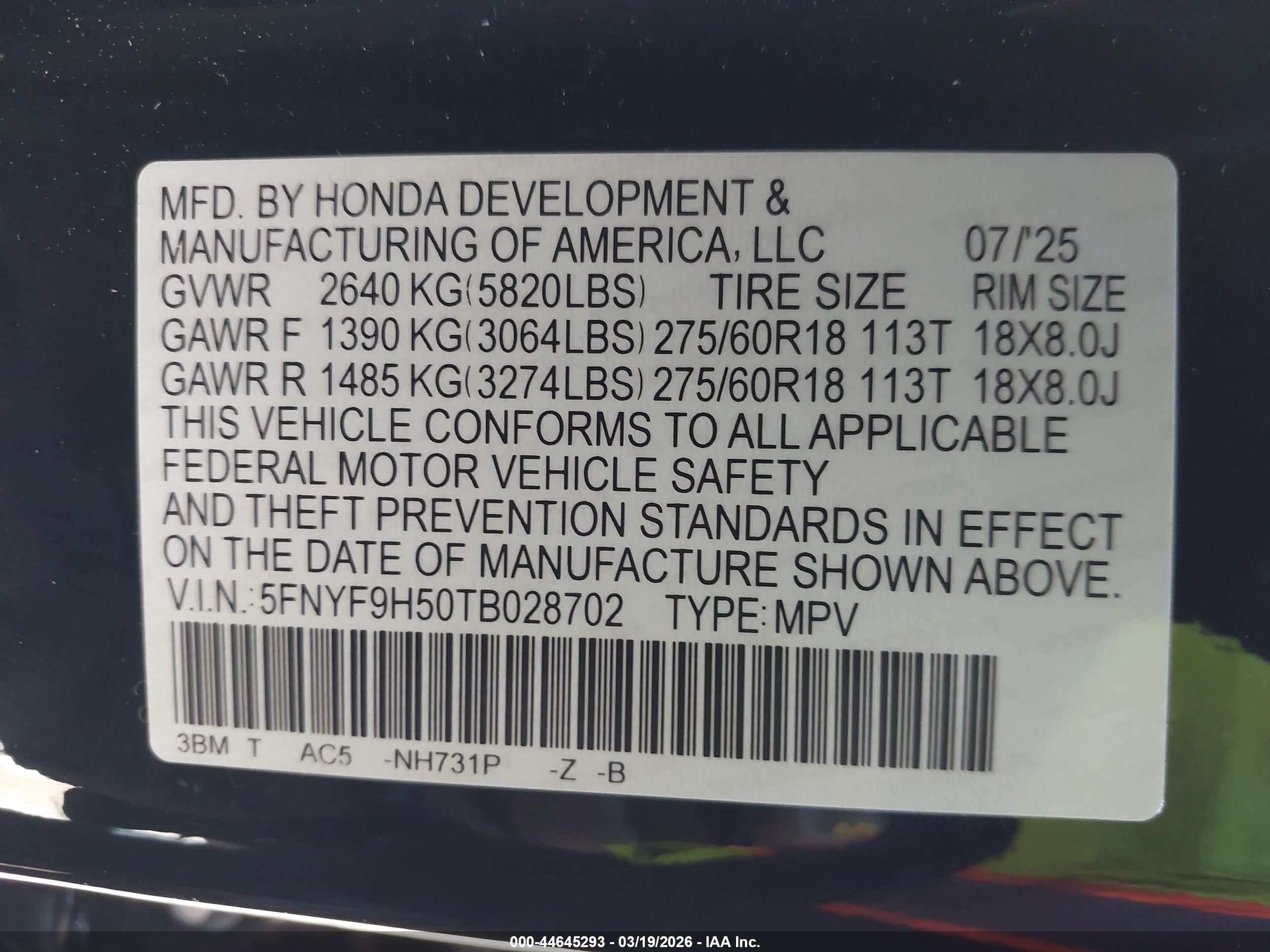 HONDA PASSPORT image 9
