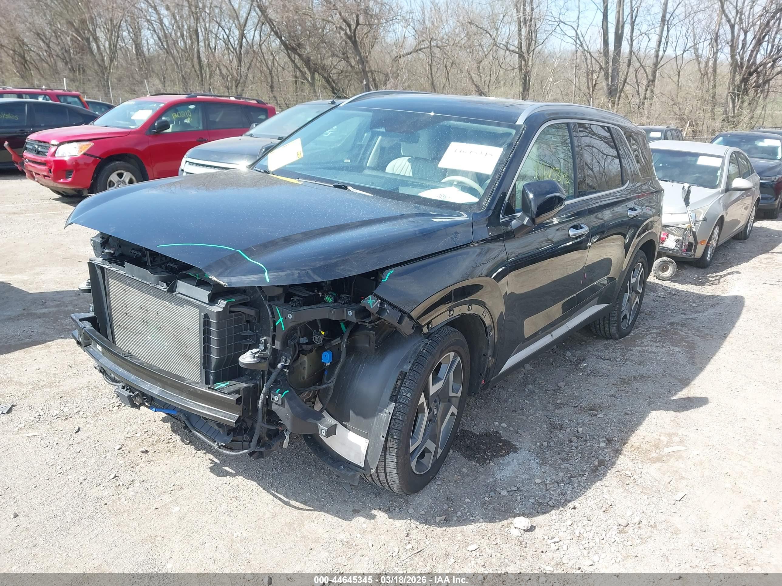 HYUNDAI PALISADE image 2