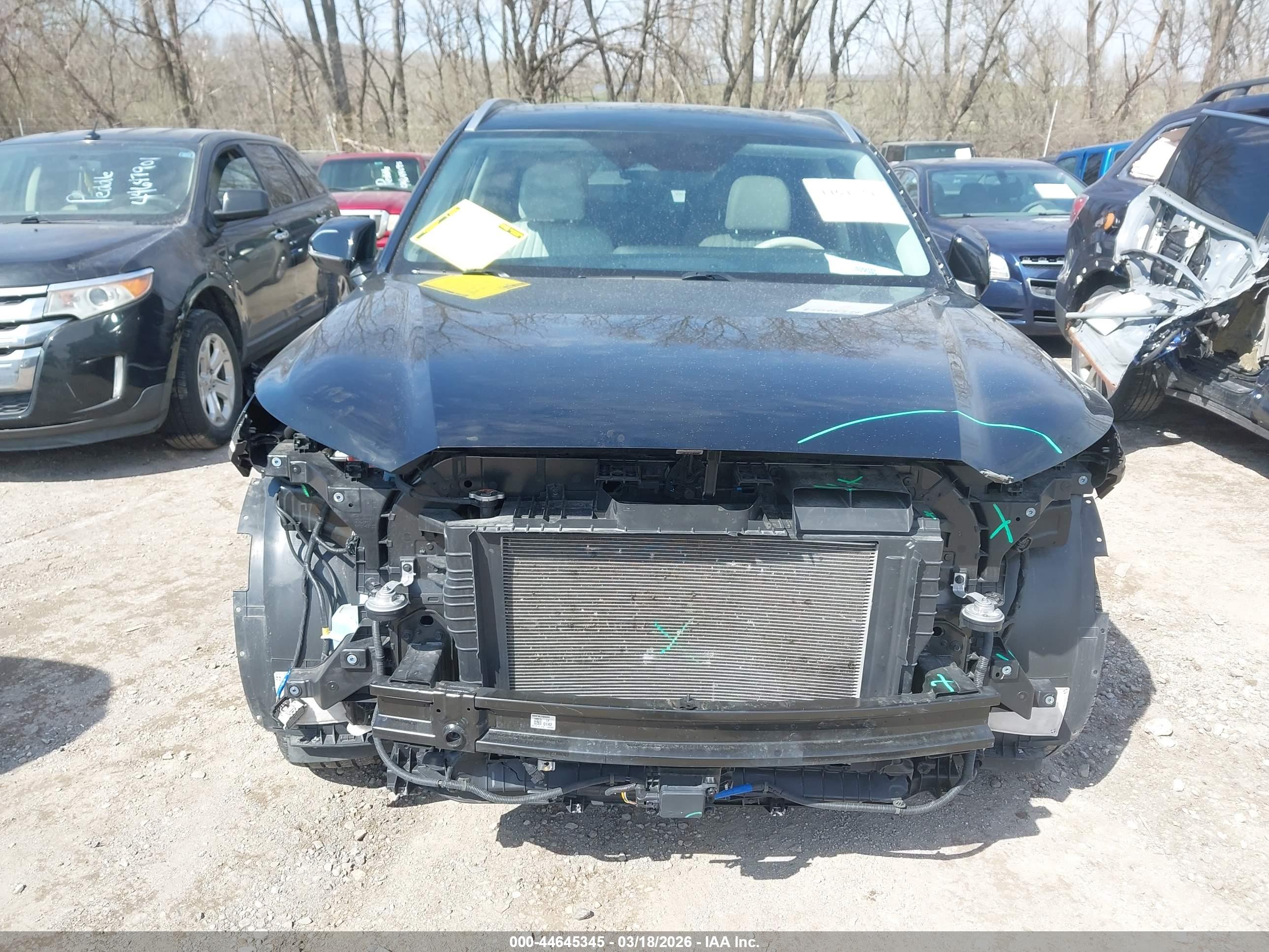 HYUNDAI PALISADE image 6