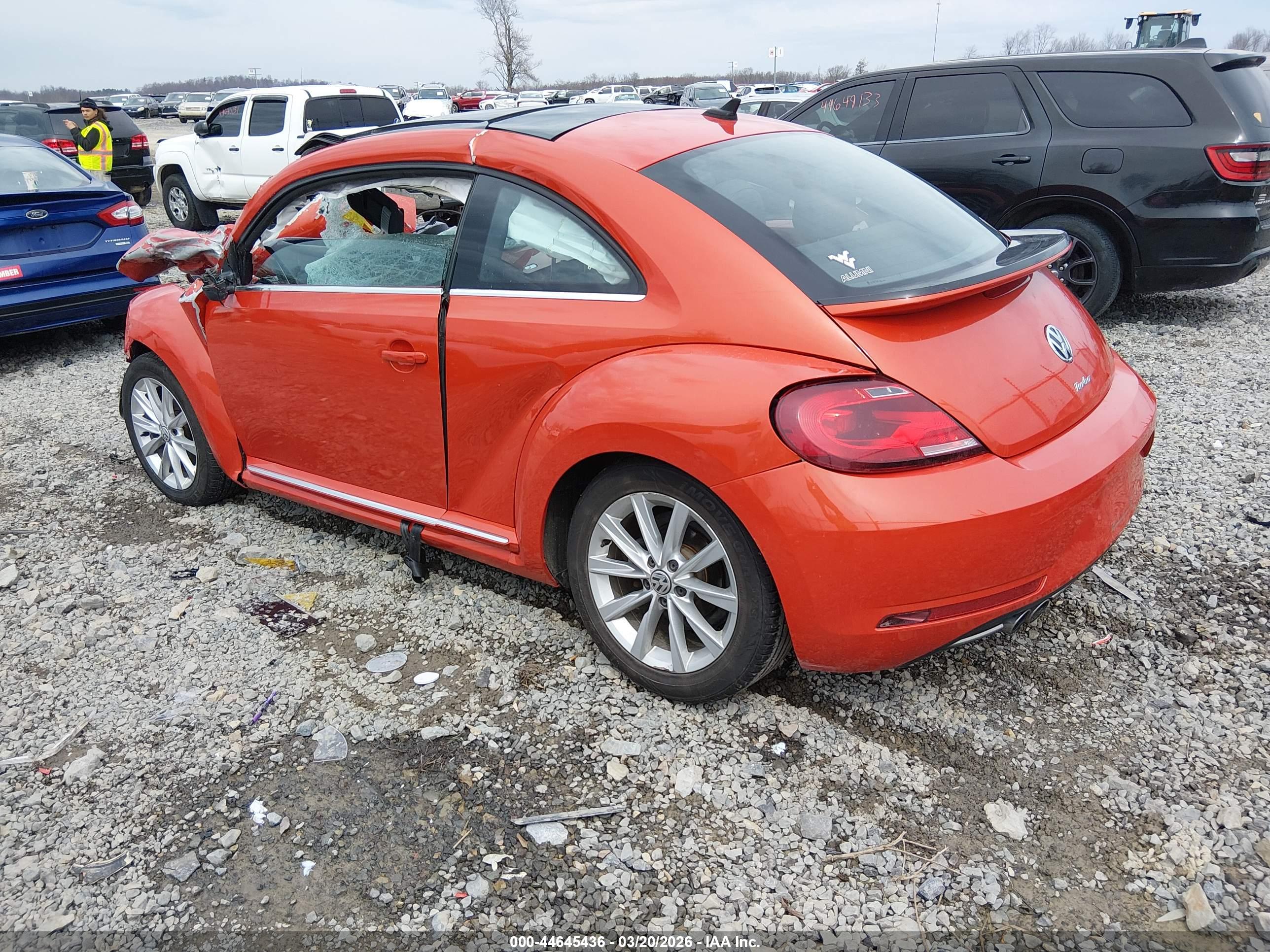 VOLKSWAGEN BEETLE image 3