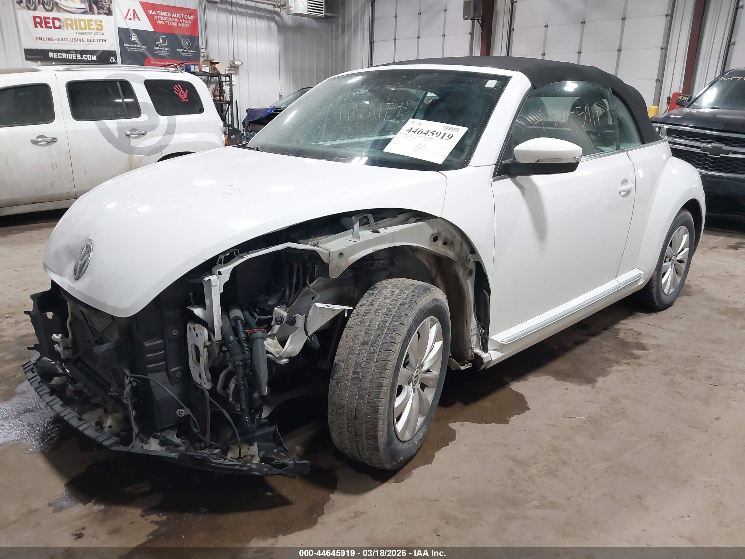 VOLKSWAGEN BEETLE image 2