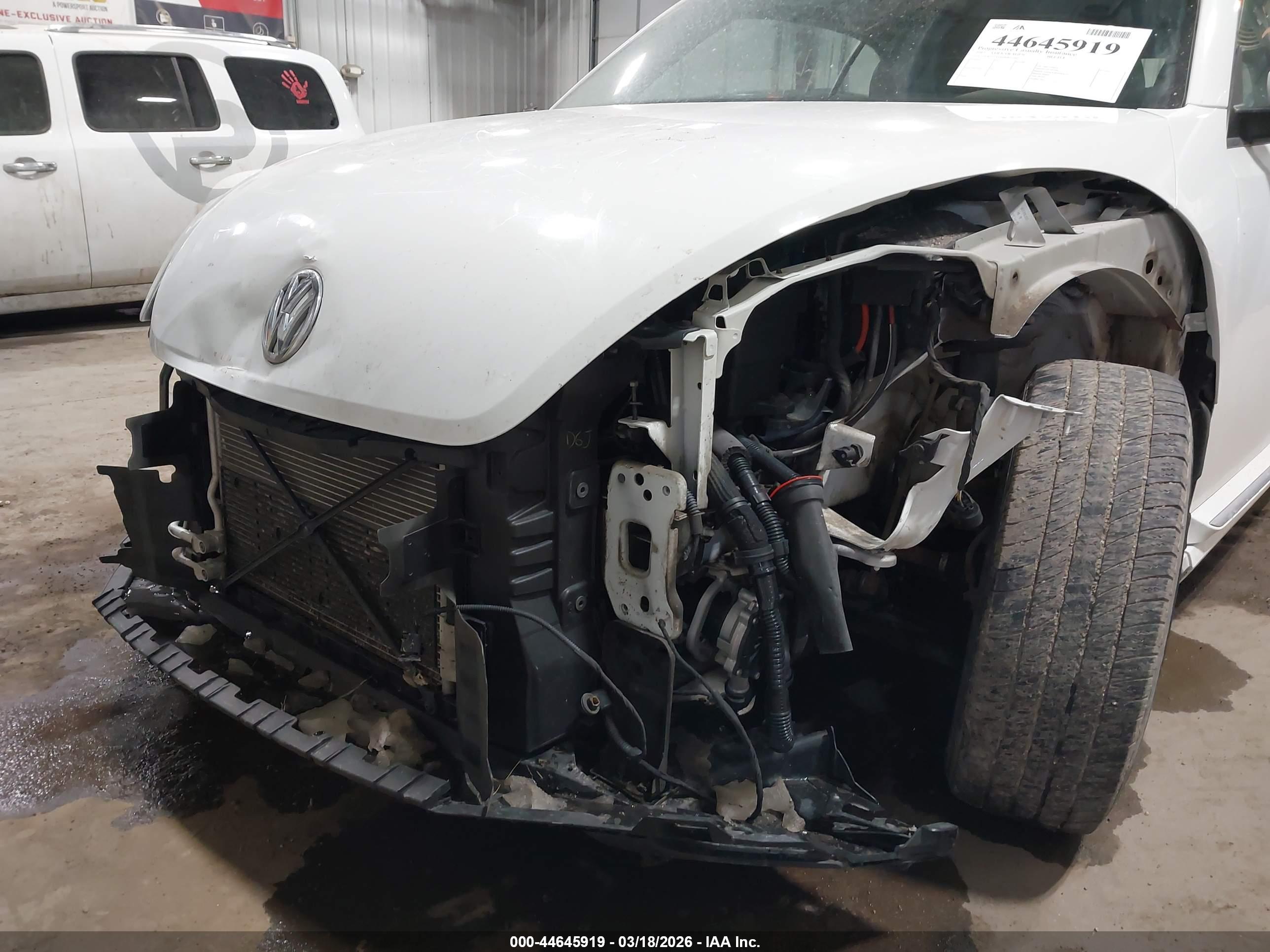 VOLKSWAGEN BEETLE image 6