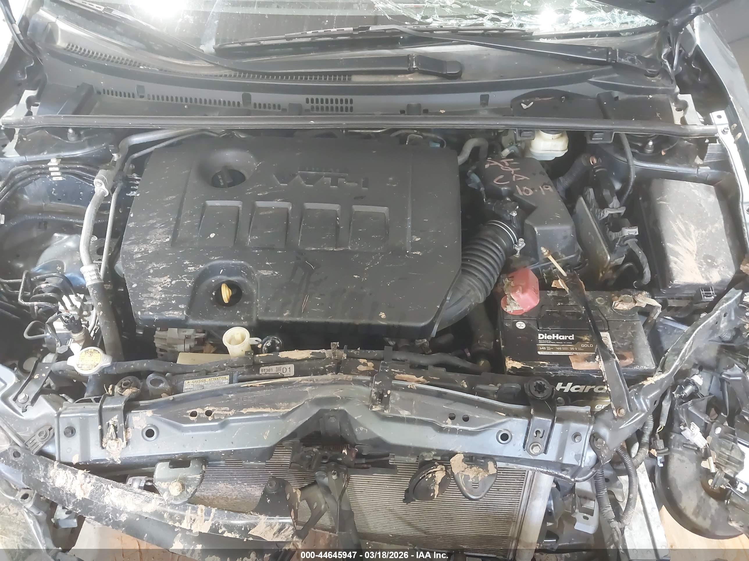 TOYOTA COROLLA image 10