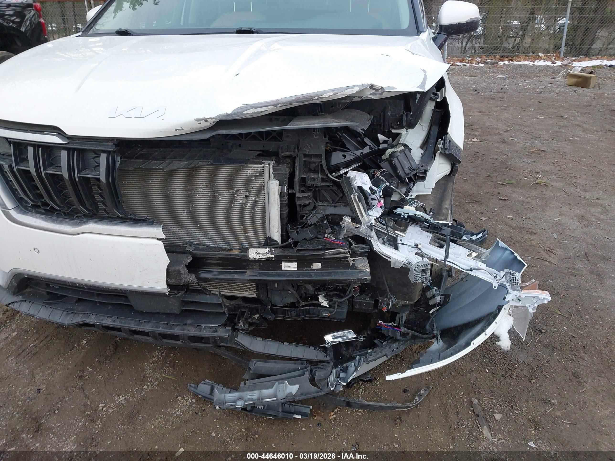 KIA CARNIVAL image 6