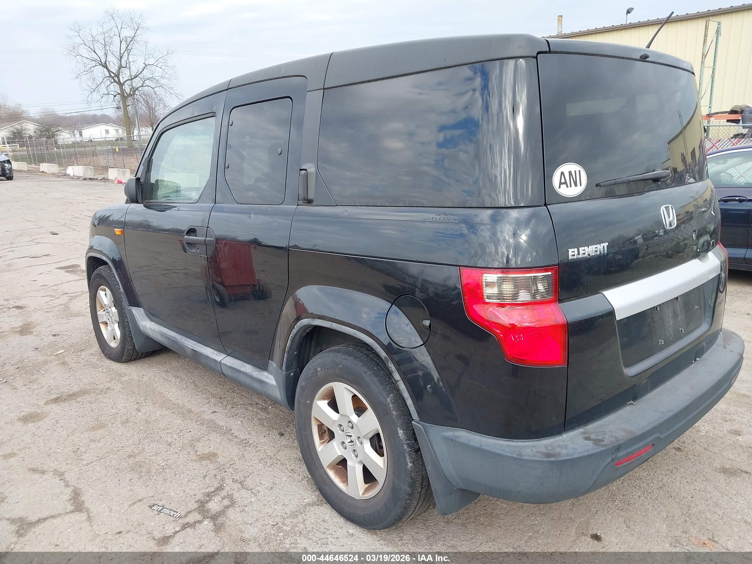 HONDA ELEMENT image 3