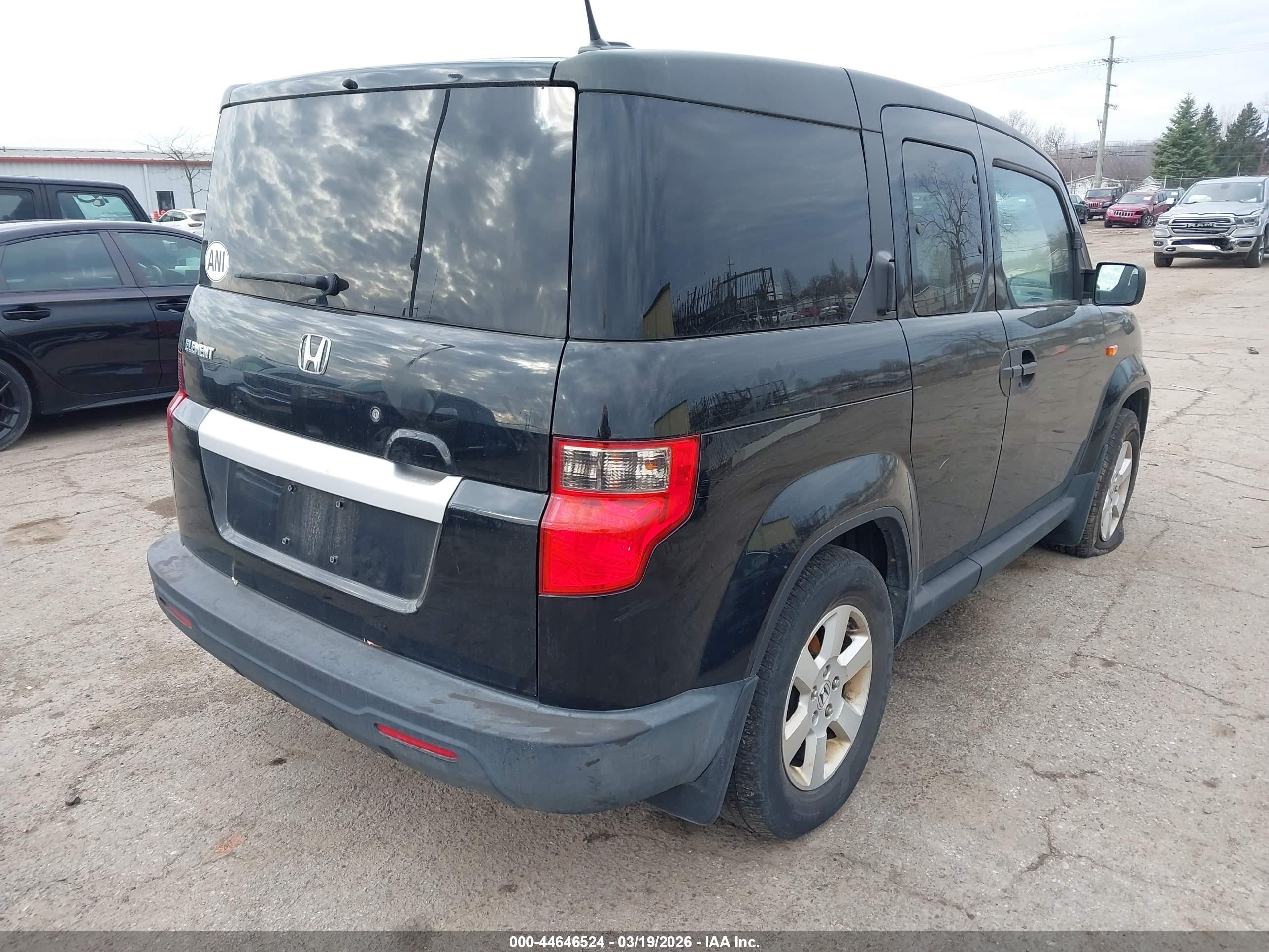 HONDA ELEMENT image 4