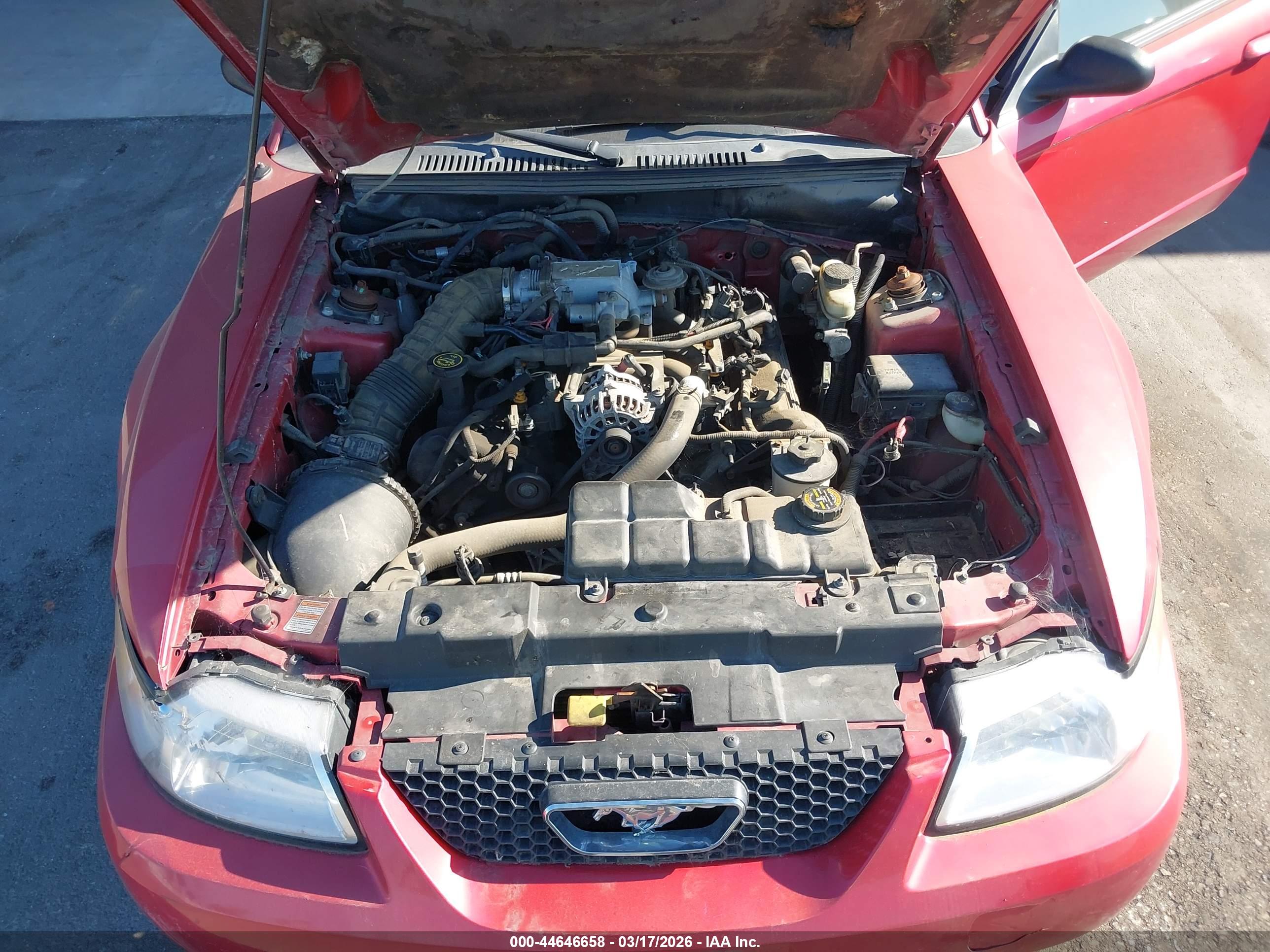 FORD MUSTANG image 10