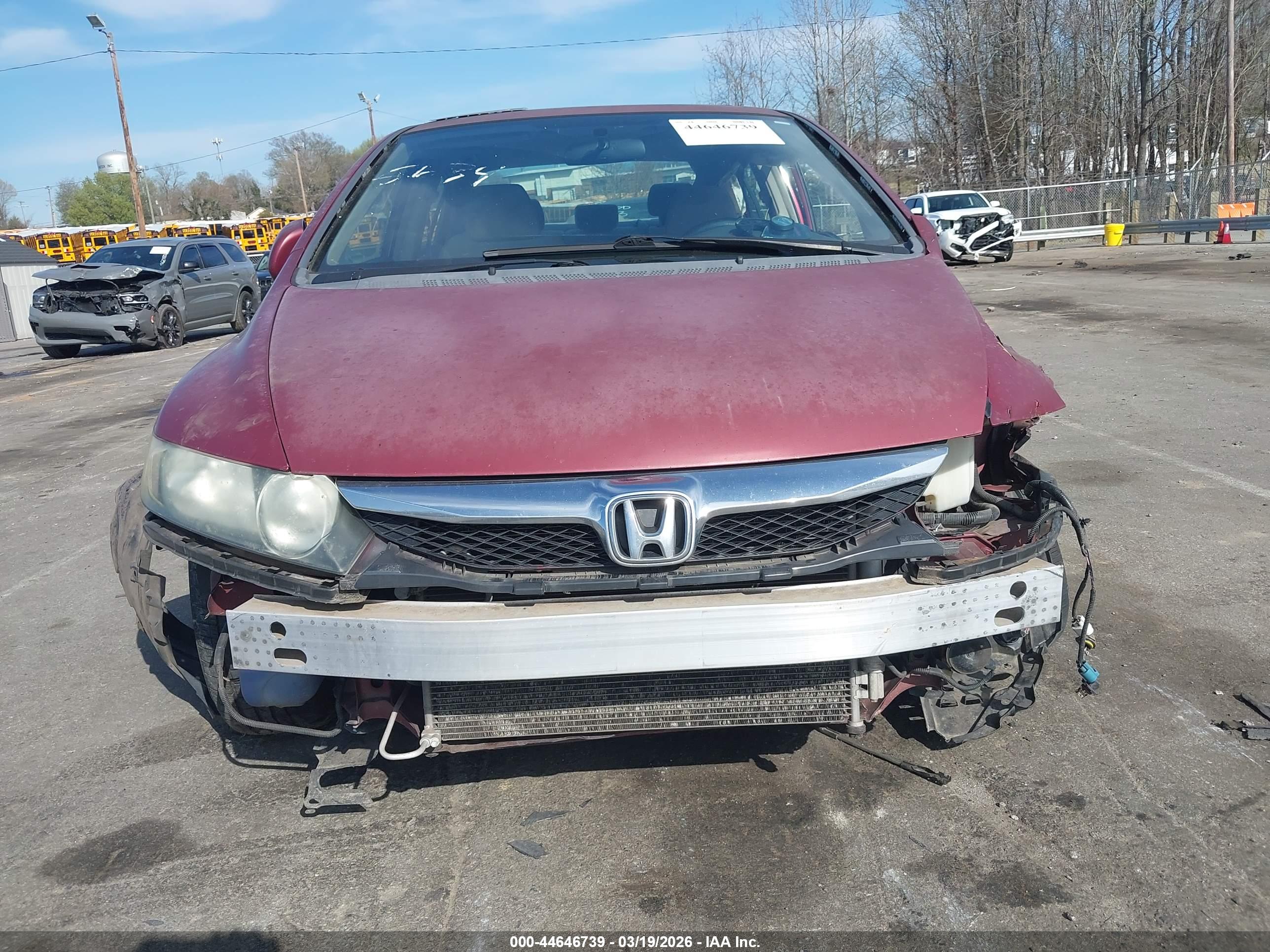 HONDA CIVIC image 6