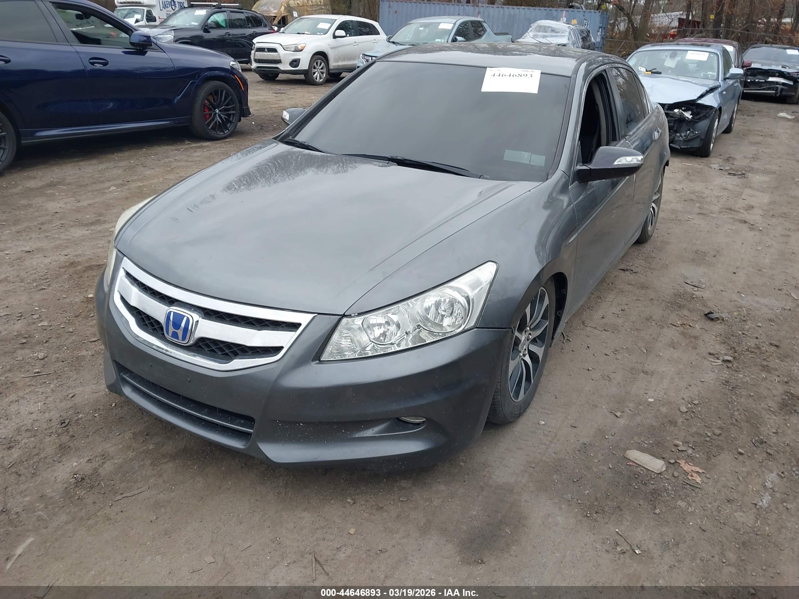 HONDA ACCORD image 2