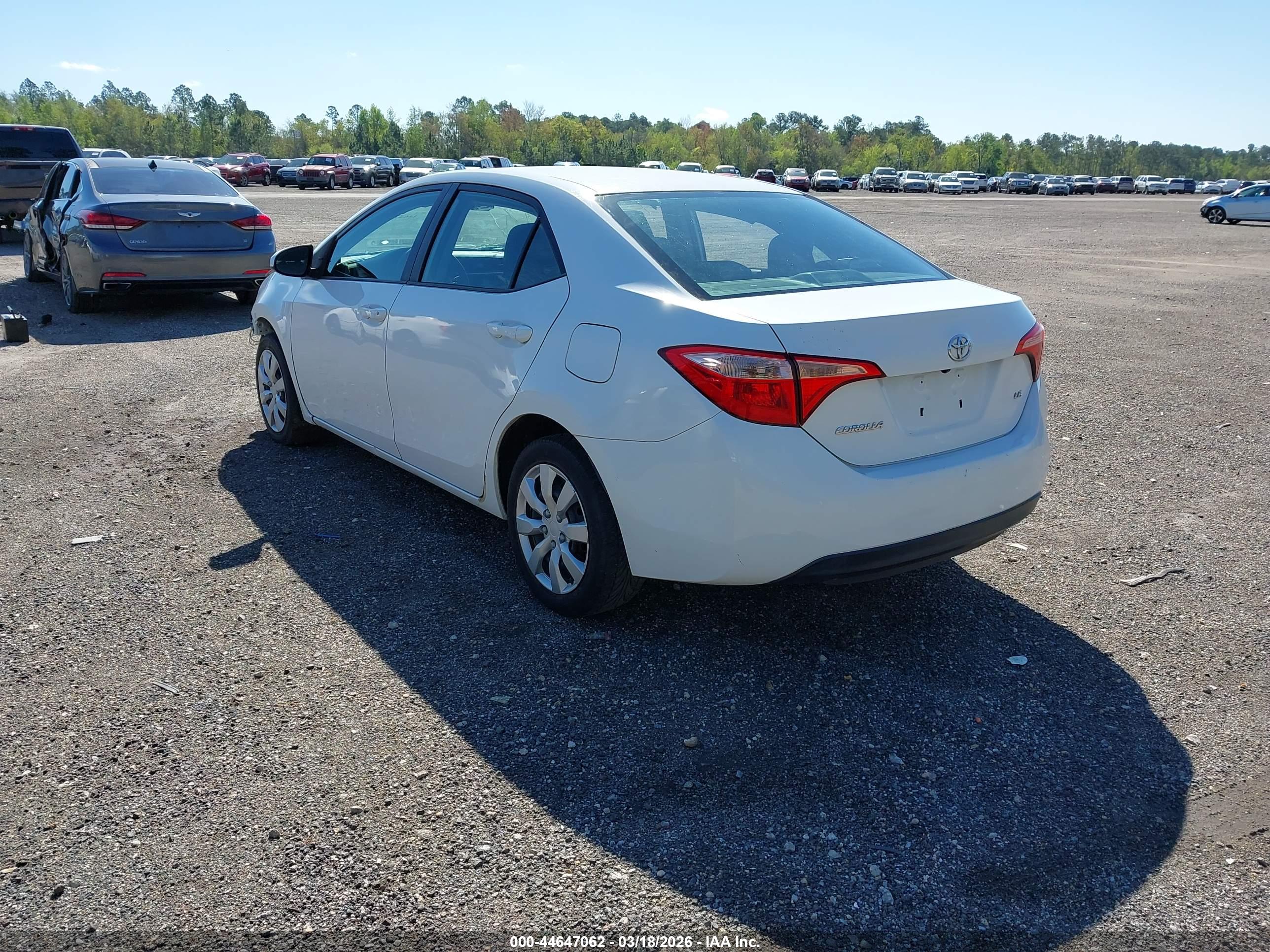 TOYOTA COROLLA image 3