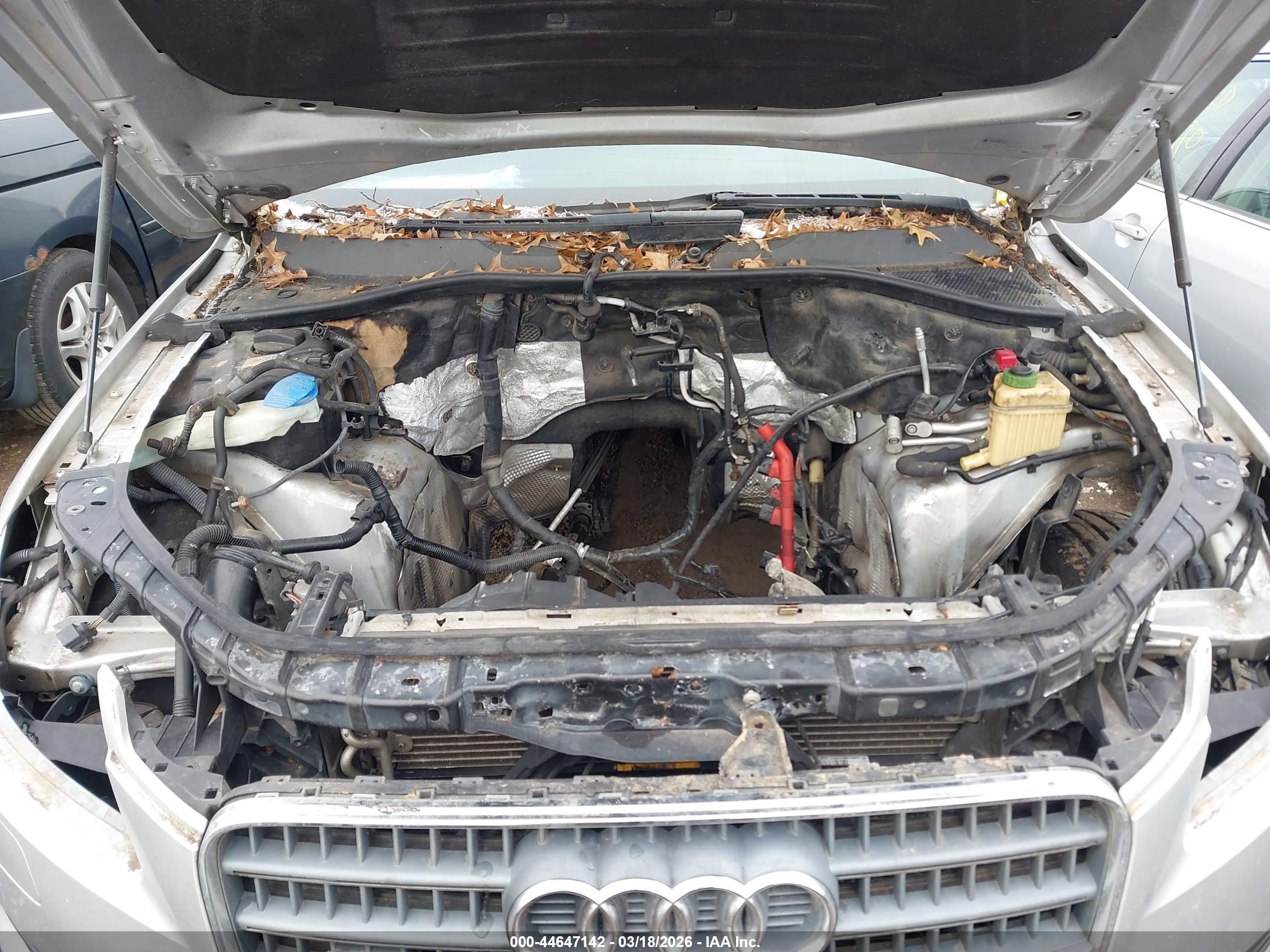 AUDI Q7 image 6