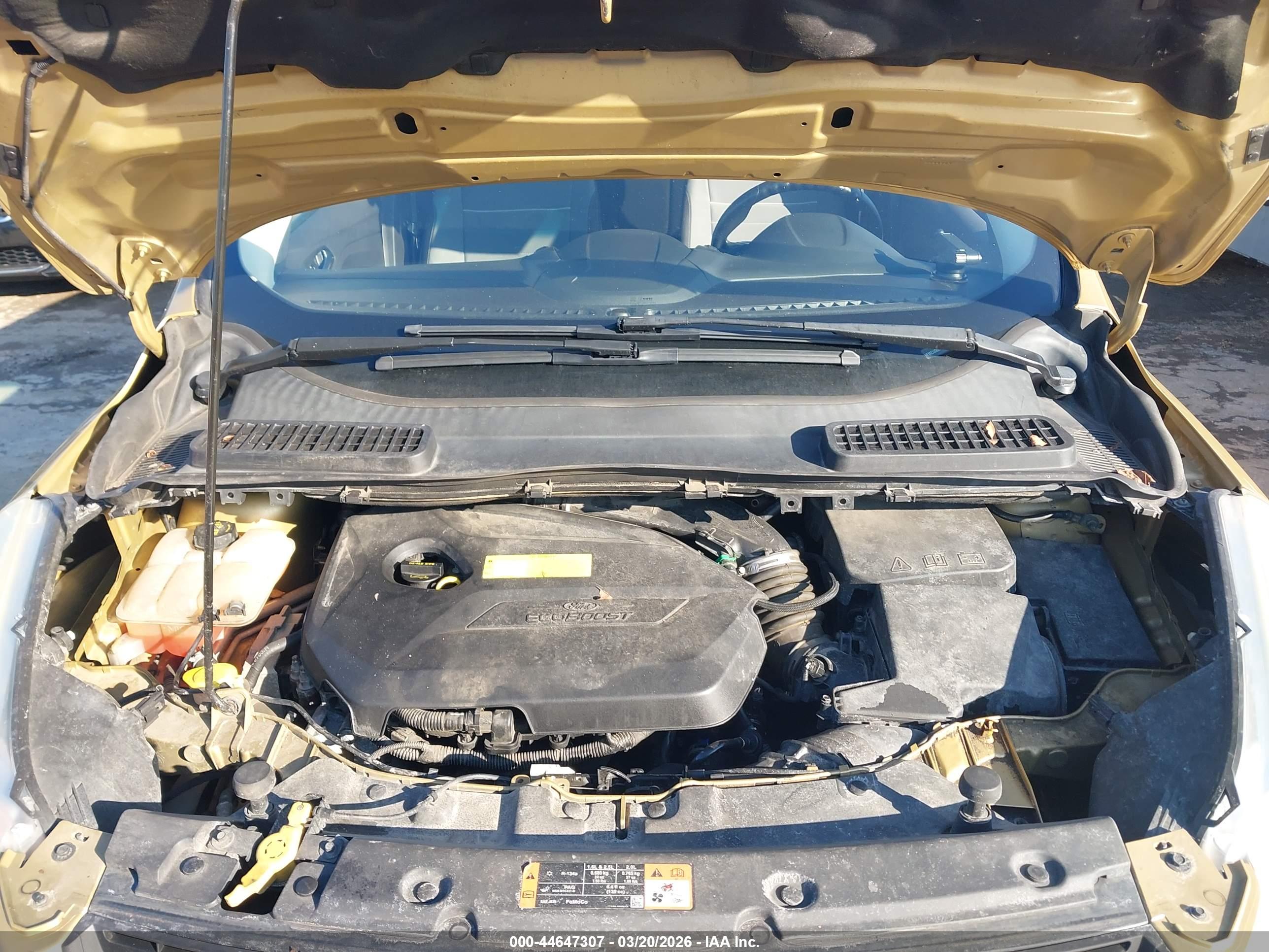 FORD ESCAPE image 10