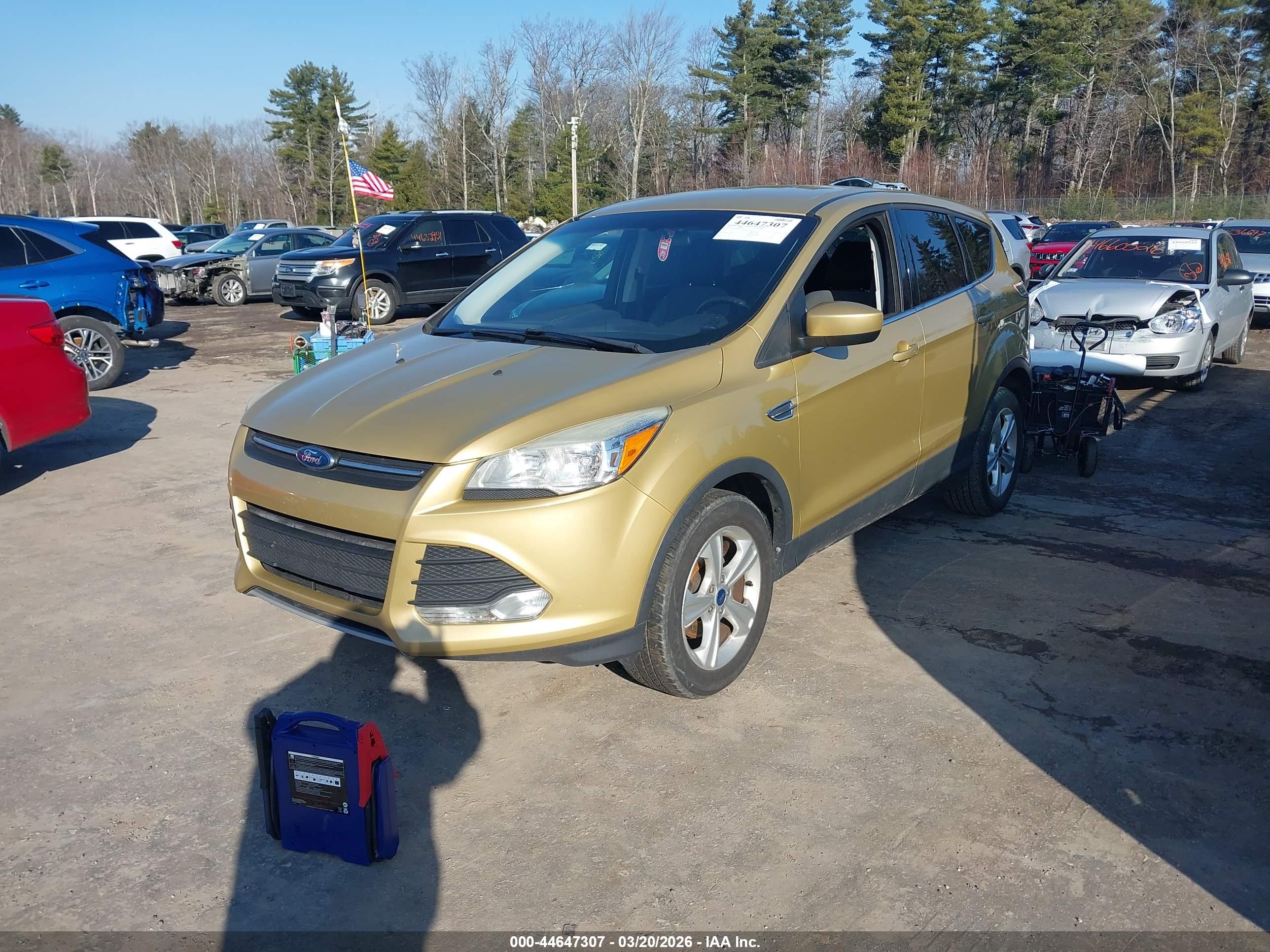 FORD ESCAPE image 2