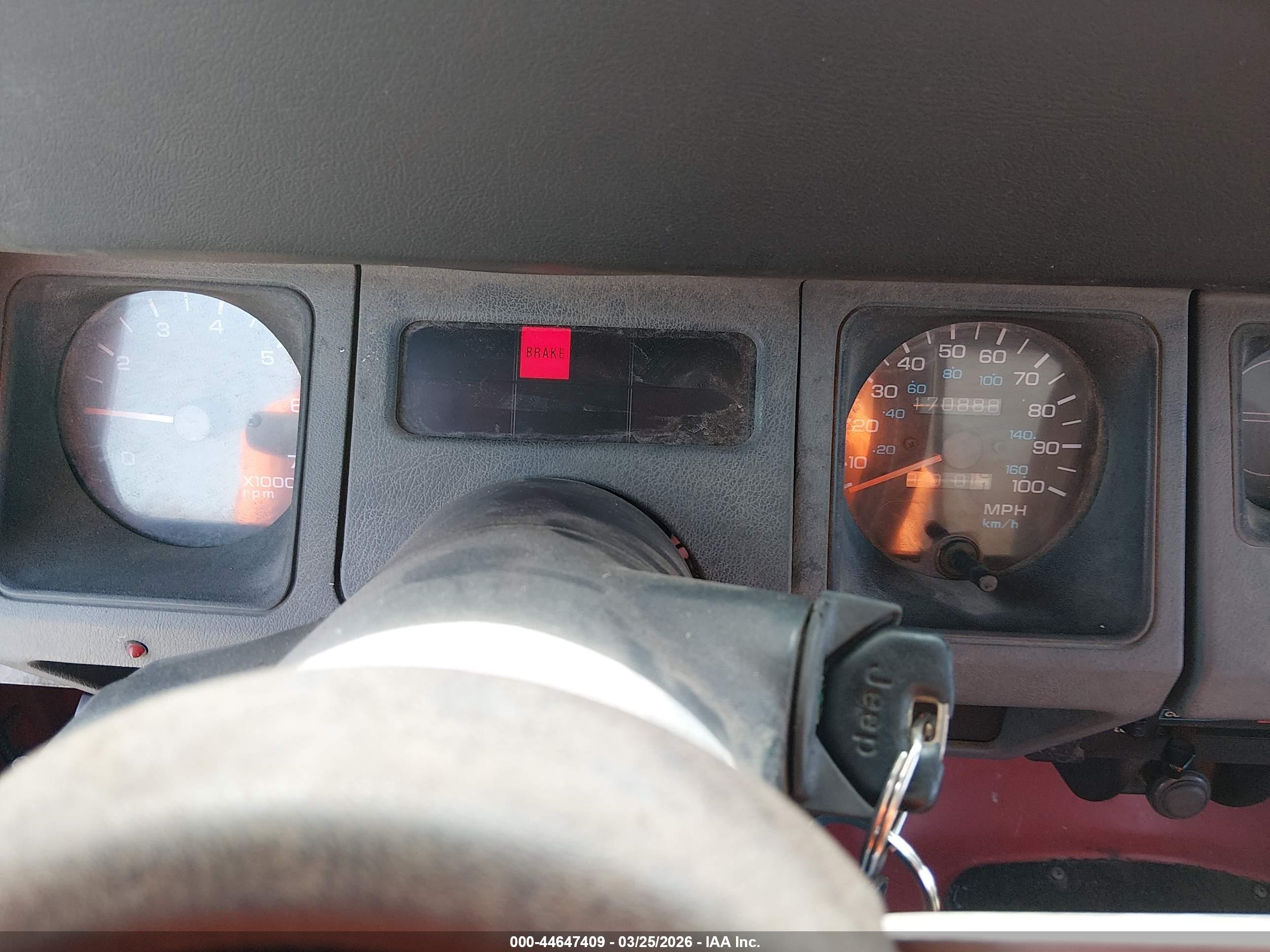 JEEP WRANGLER image 7