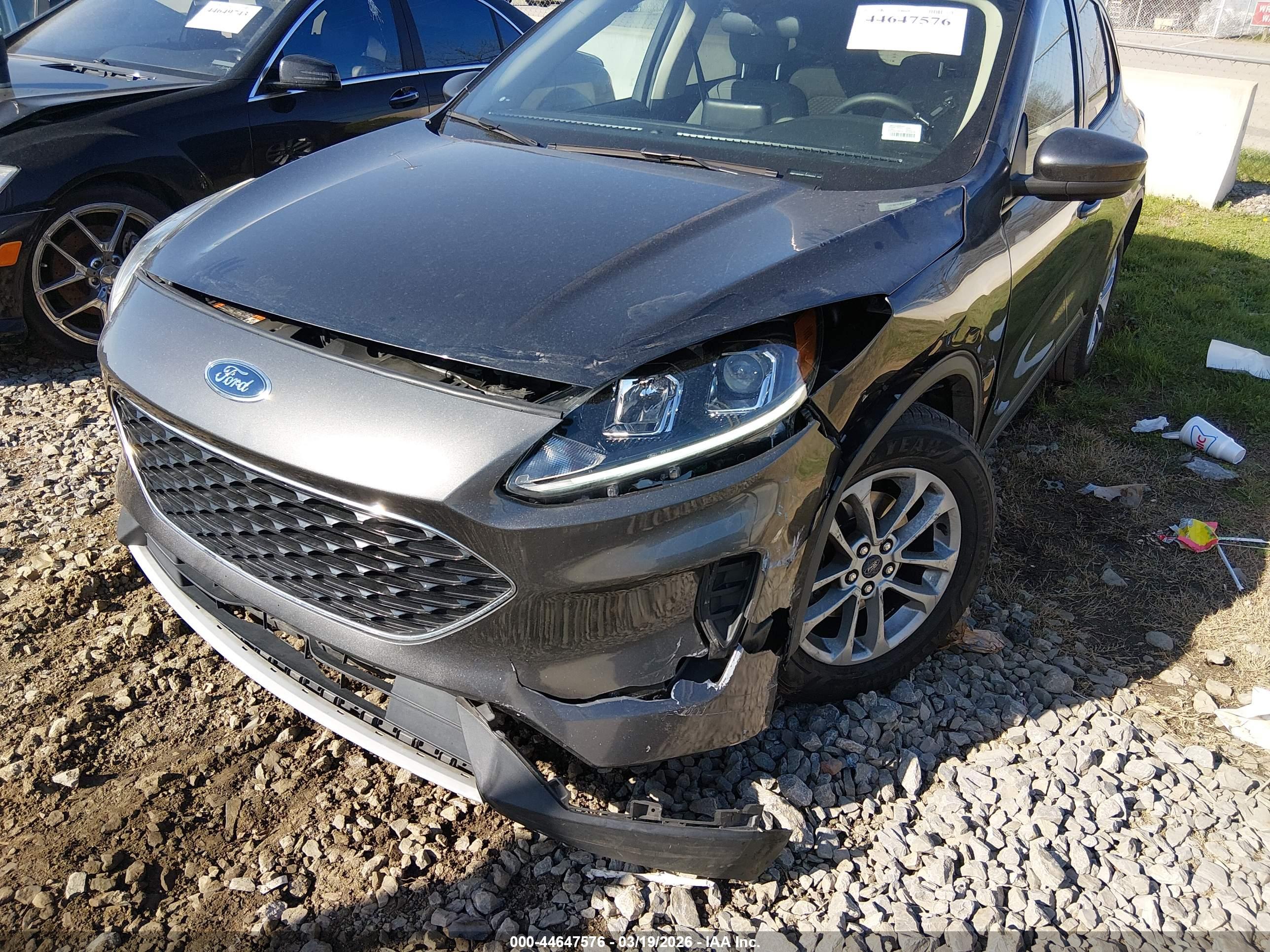 FORD ESCAPE image 6
