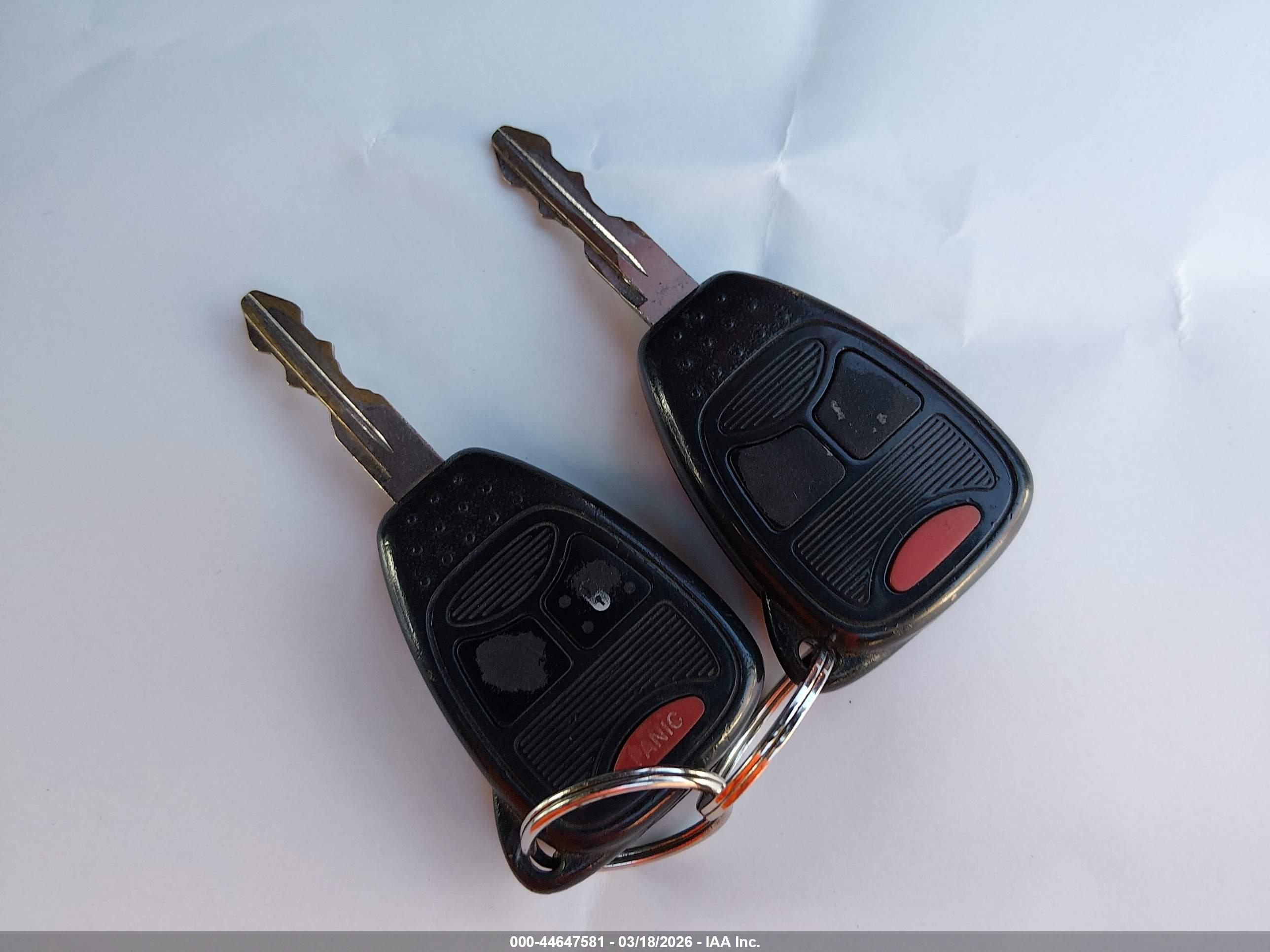 JEEP WRANGLER image 11
